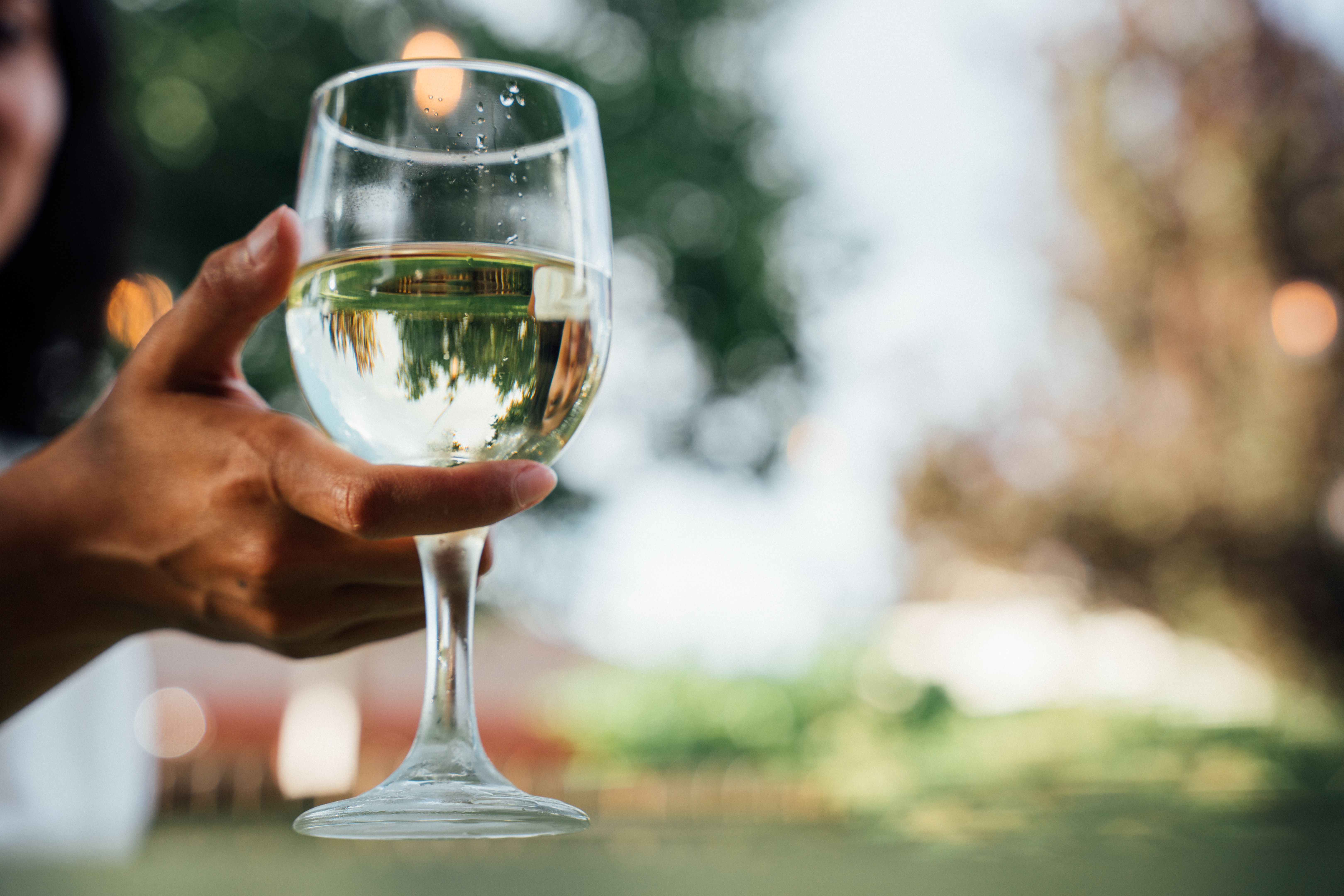 vineyard wine tasting