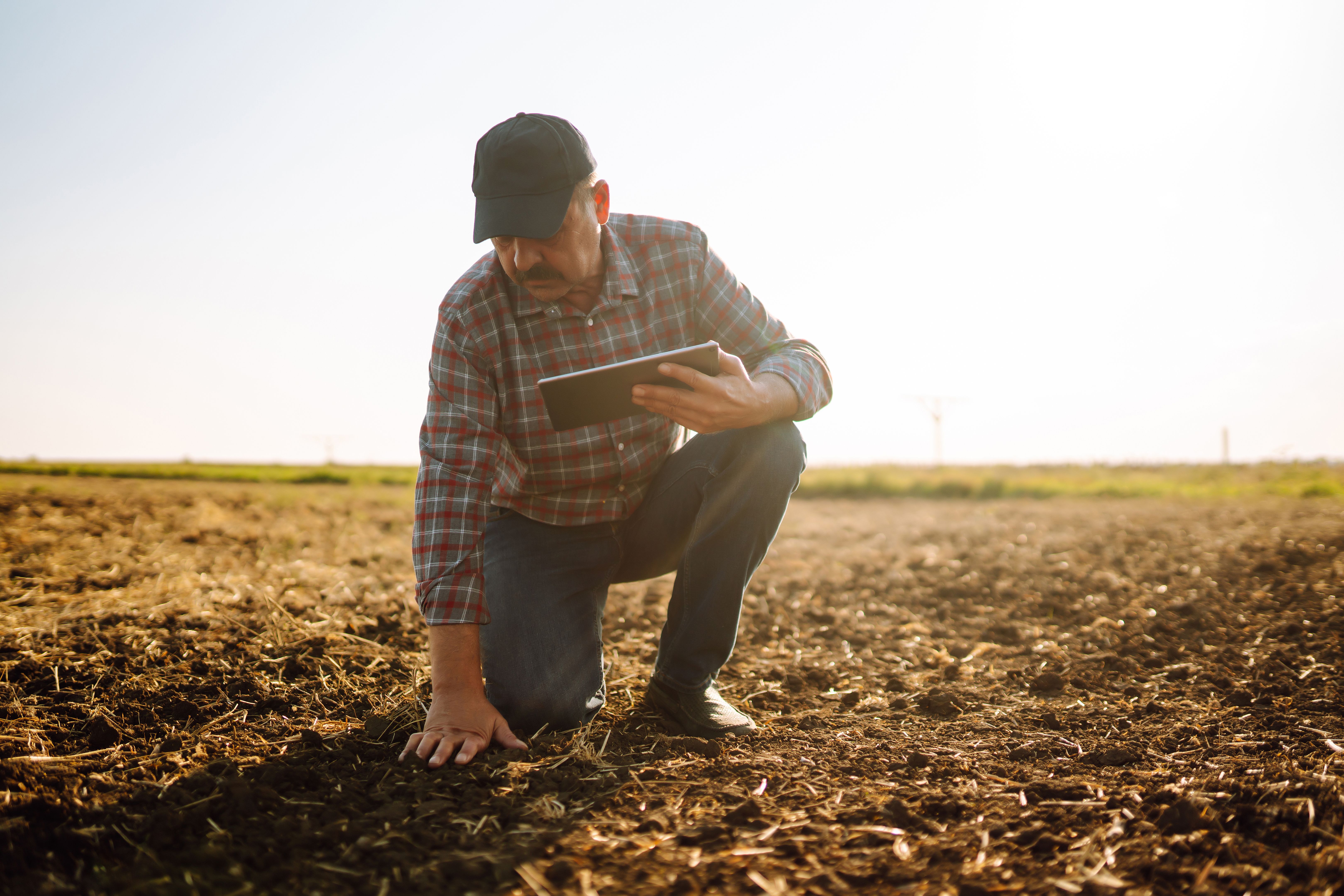 farmer examining soil