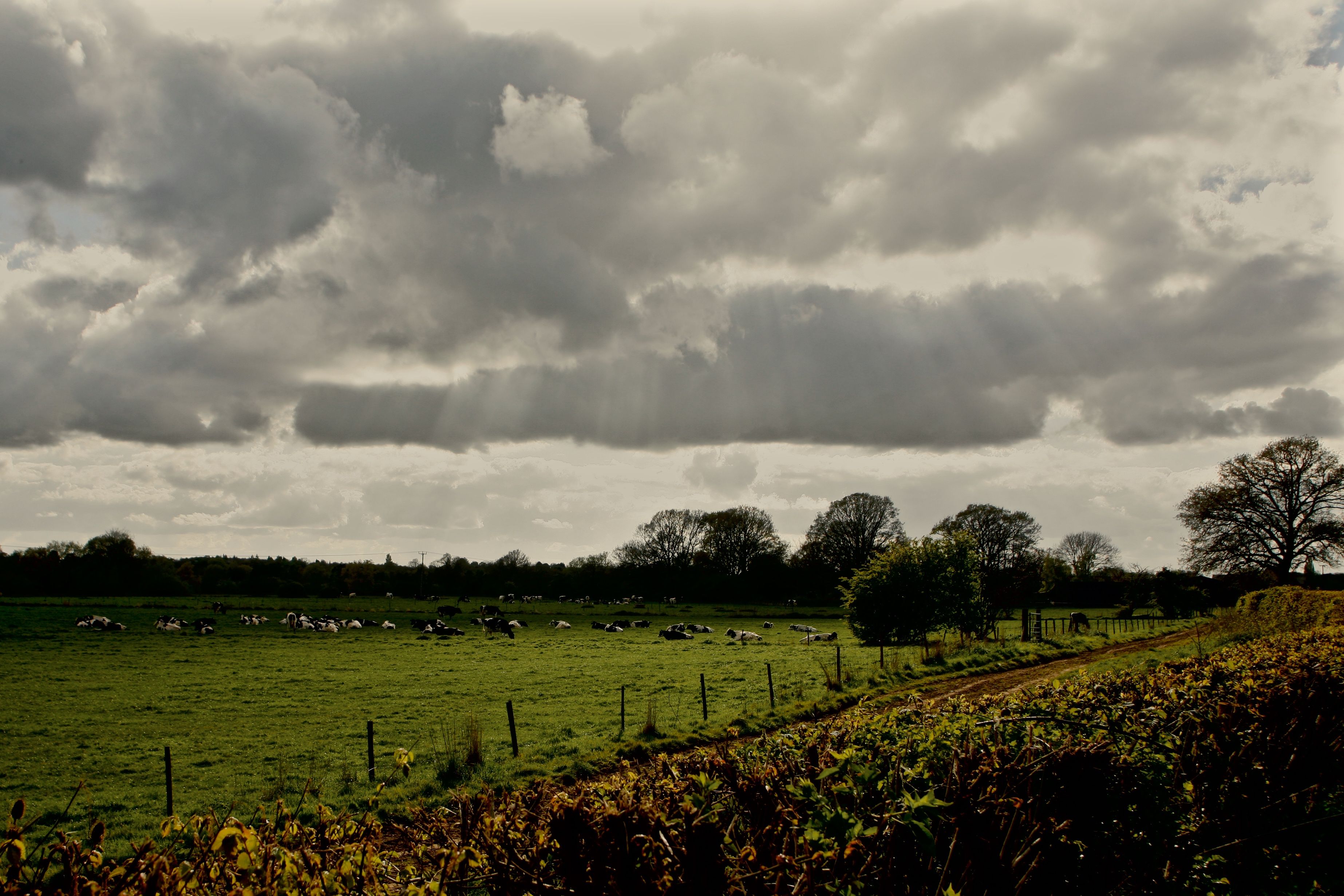 Thorpe Abbotts, Suffolk. Homersfield, Norfolk