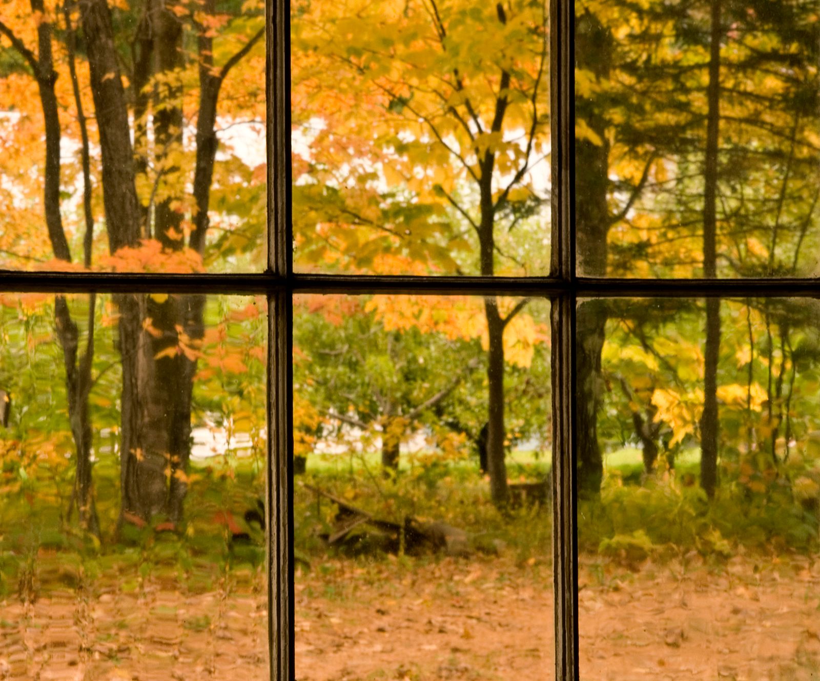 autumn window maintenance