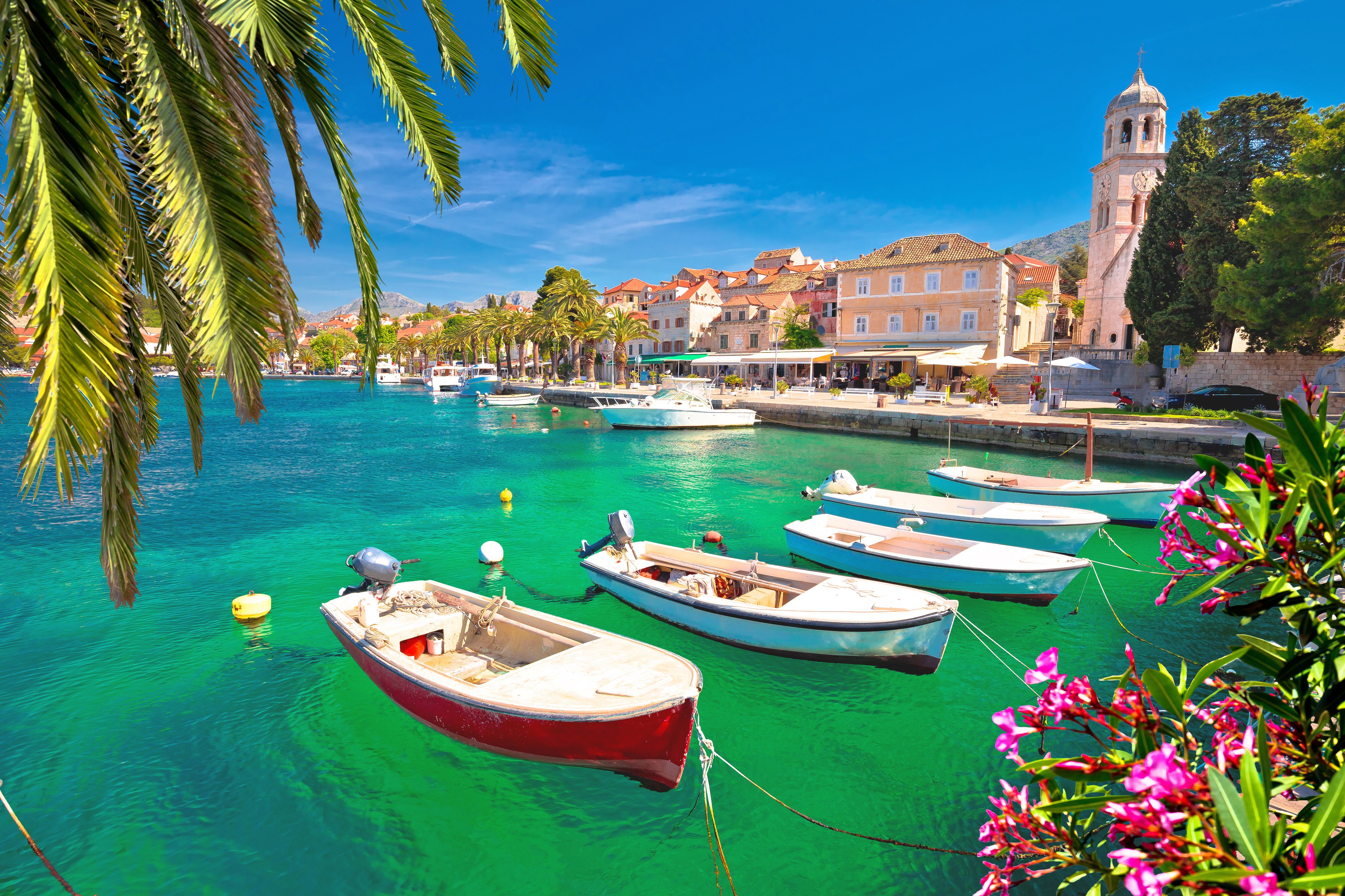 Turquoise waterfront of Cavtat palm and flowers view