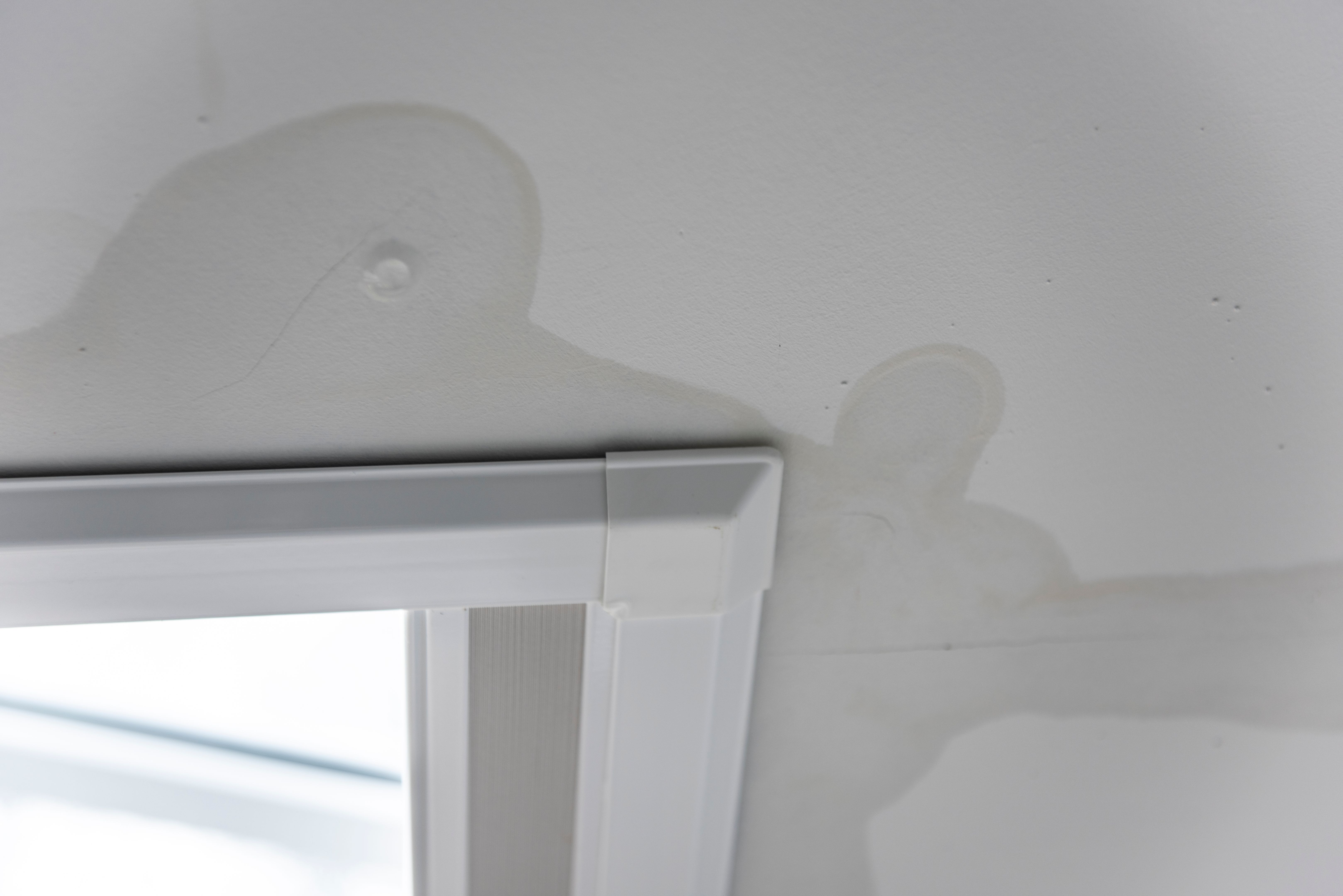 water damaged drywall