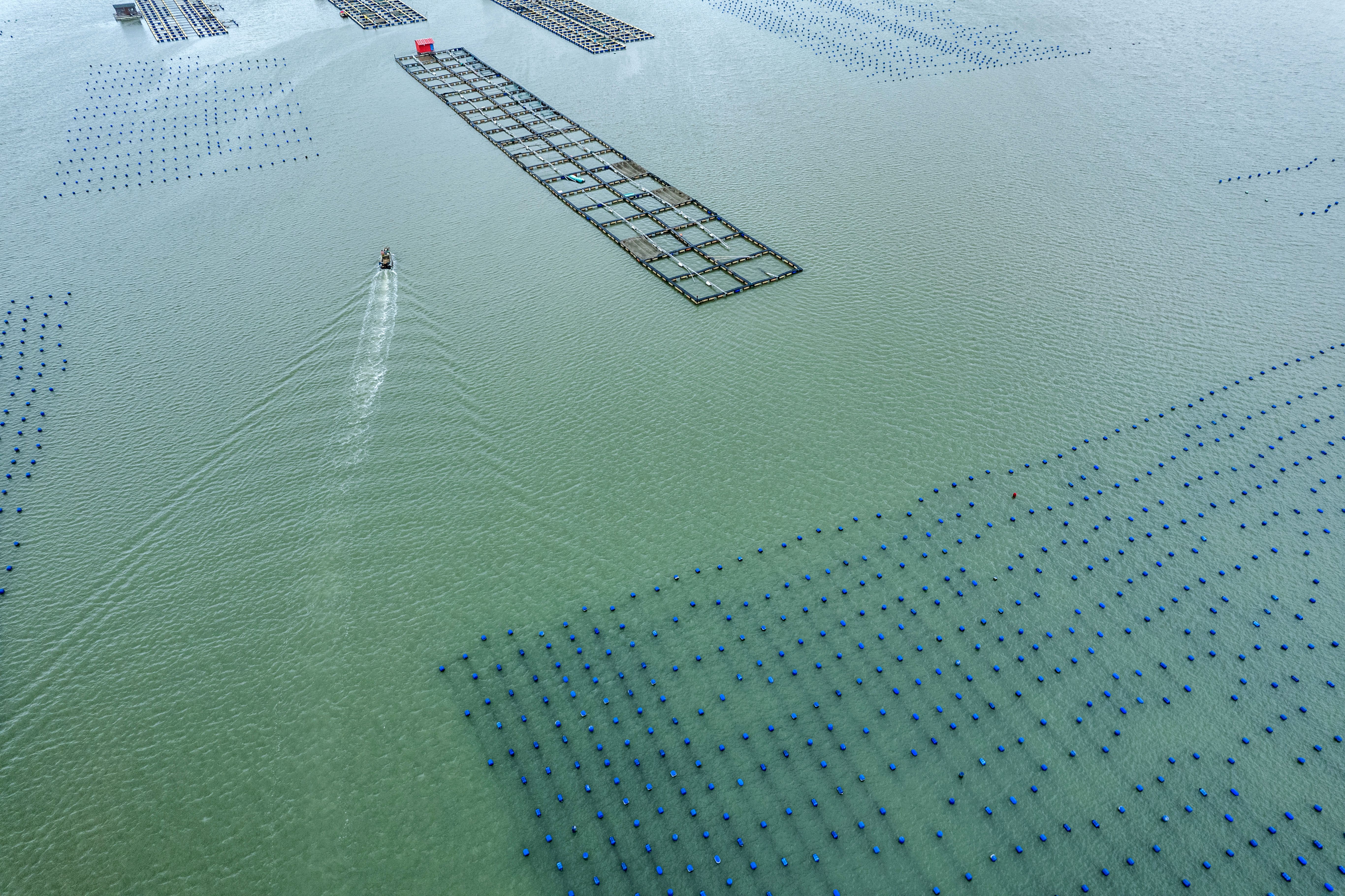 sustainable fishing