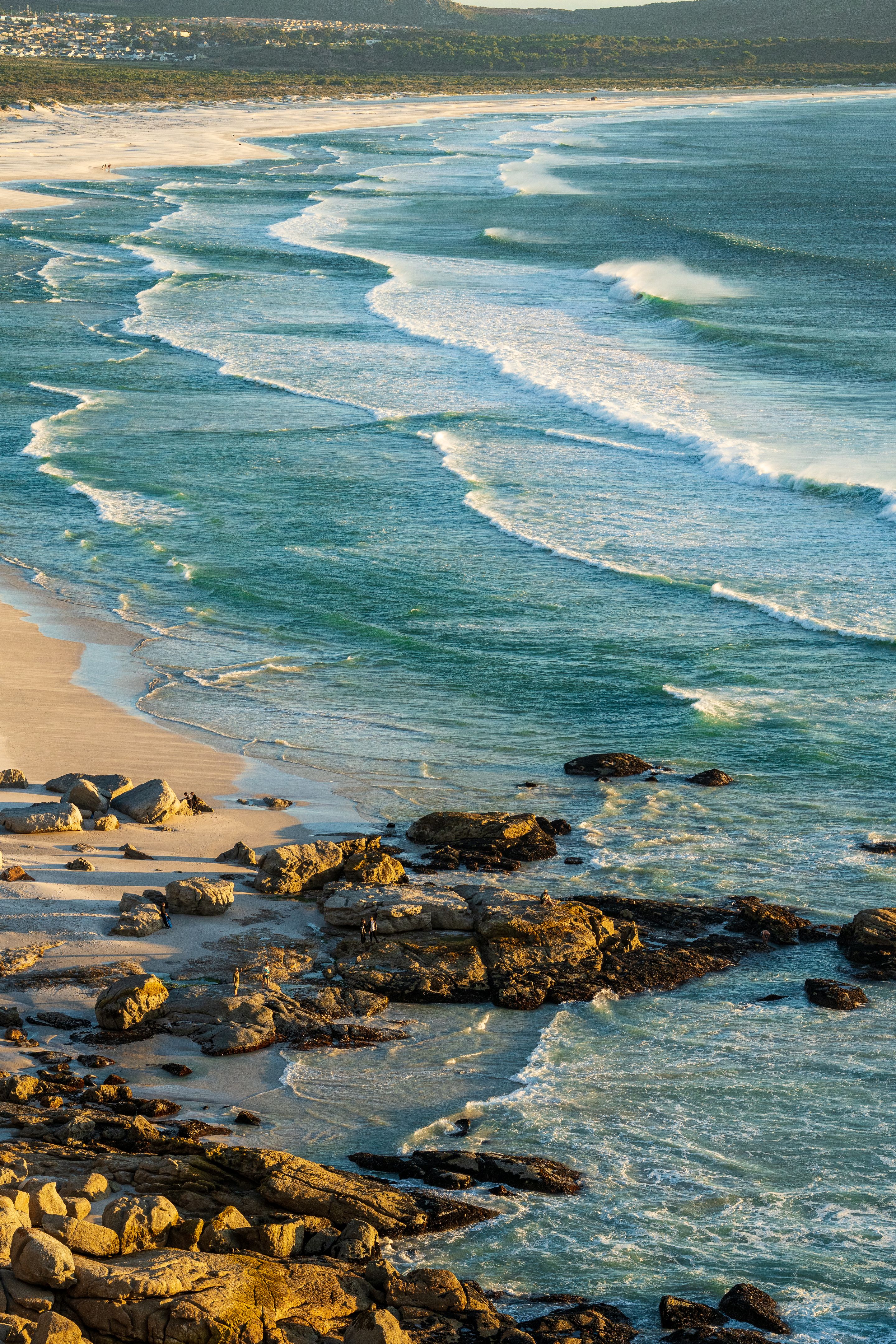 conservation cape town