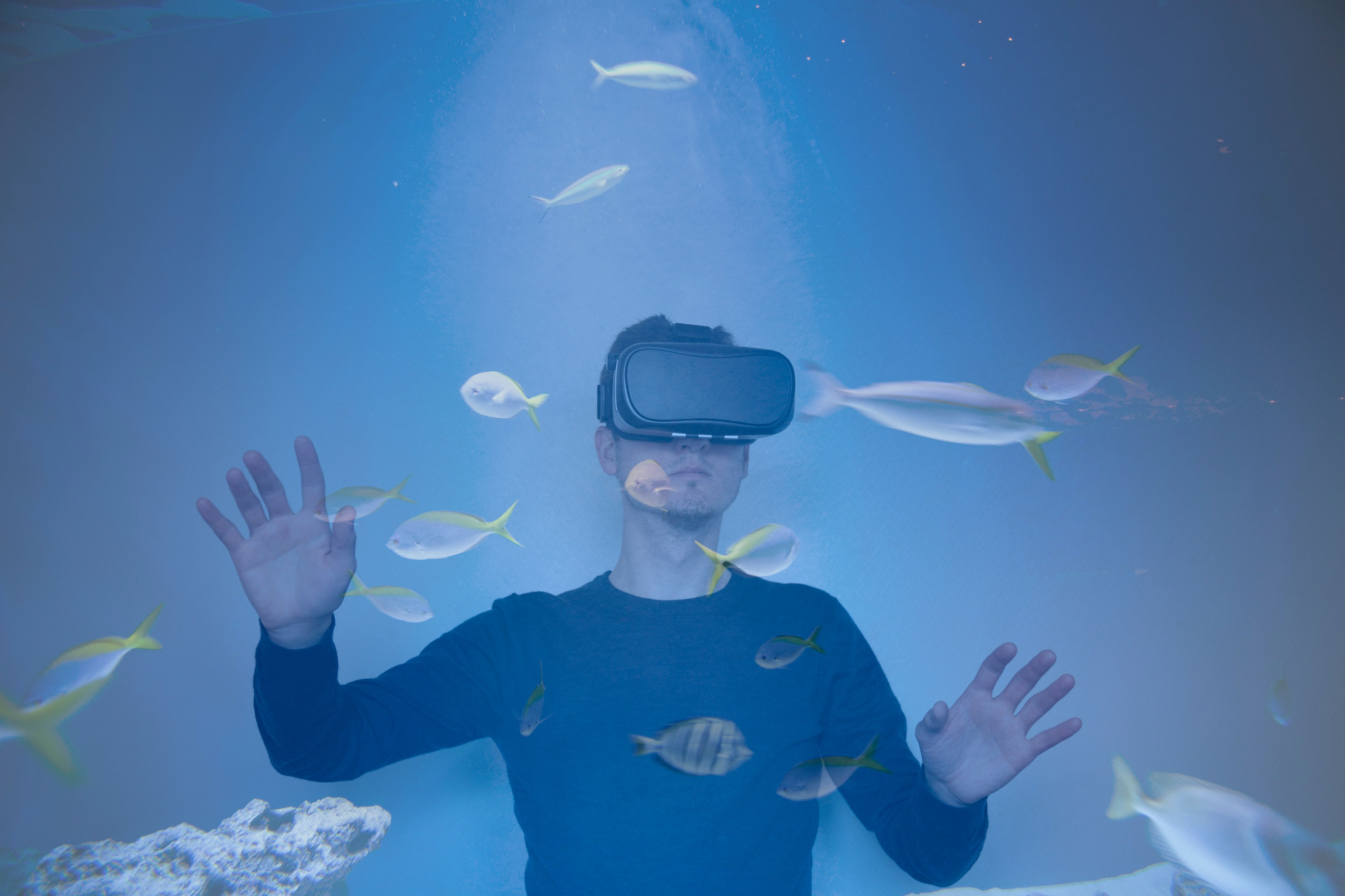 virtual reality immersion