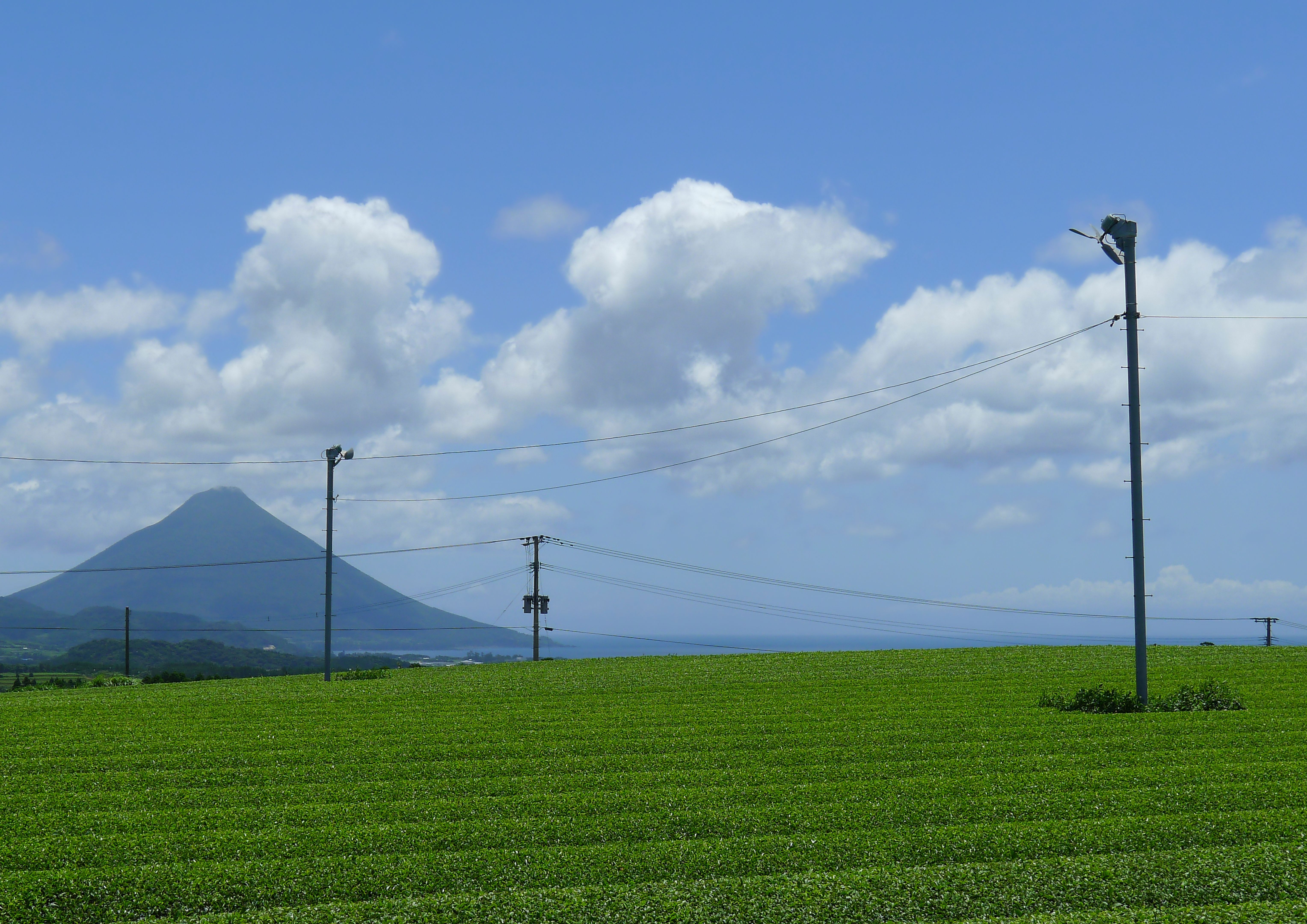 local food kagoshima