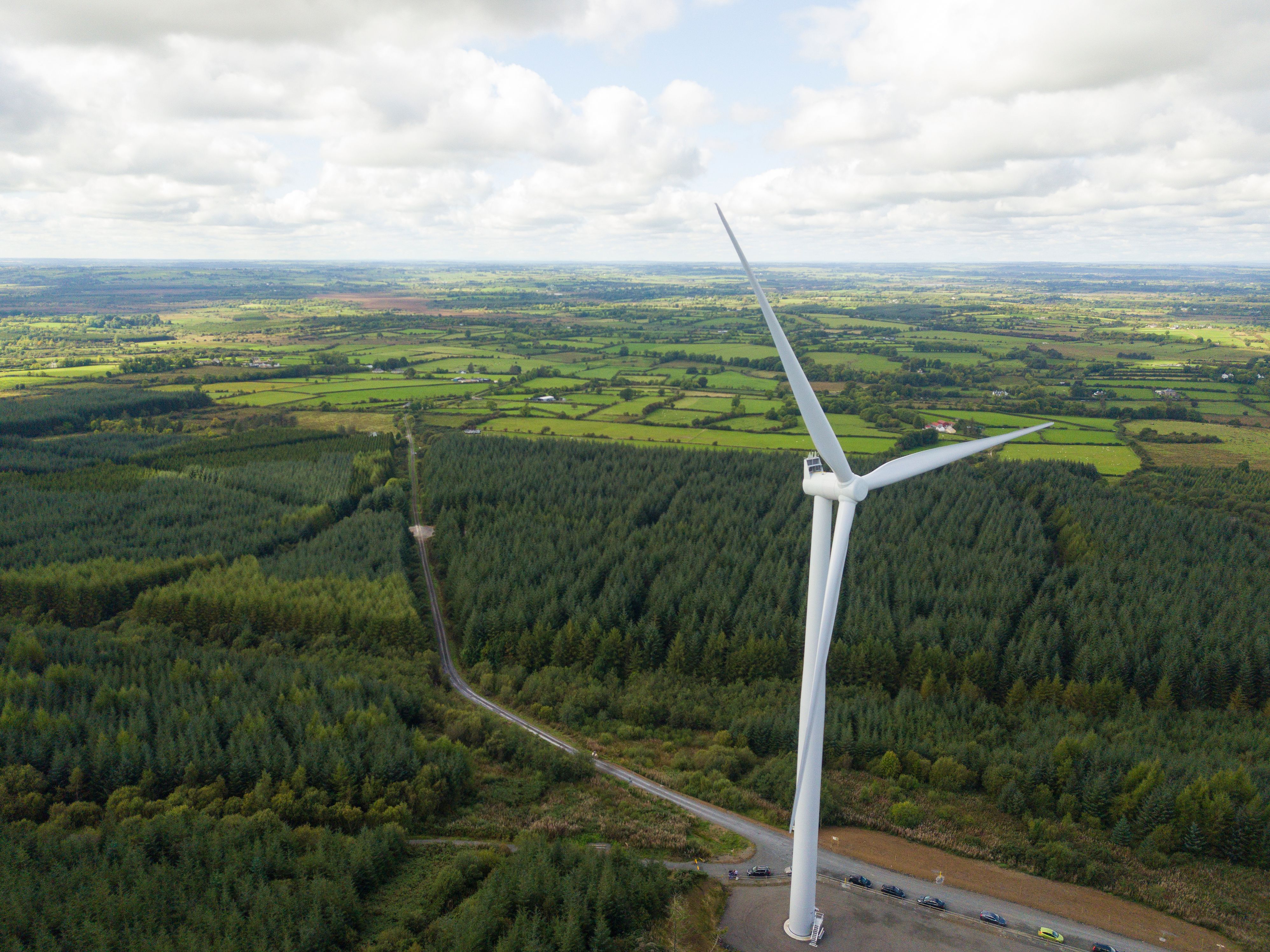 Wind turbines in a forest