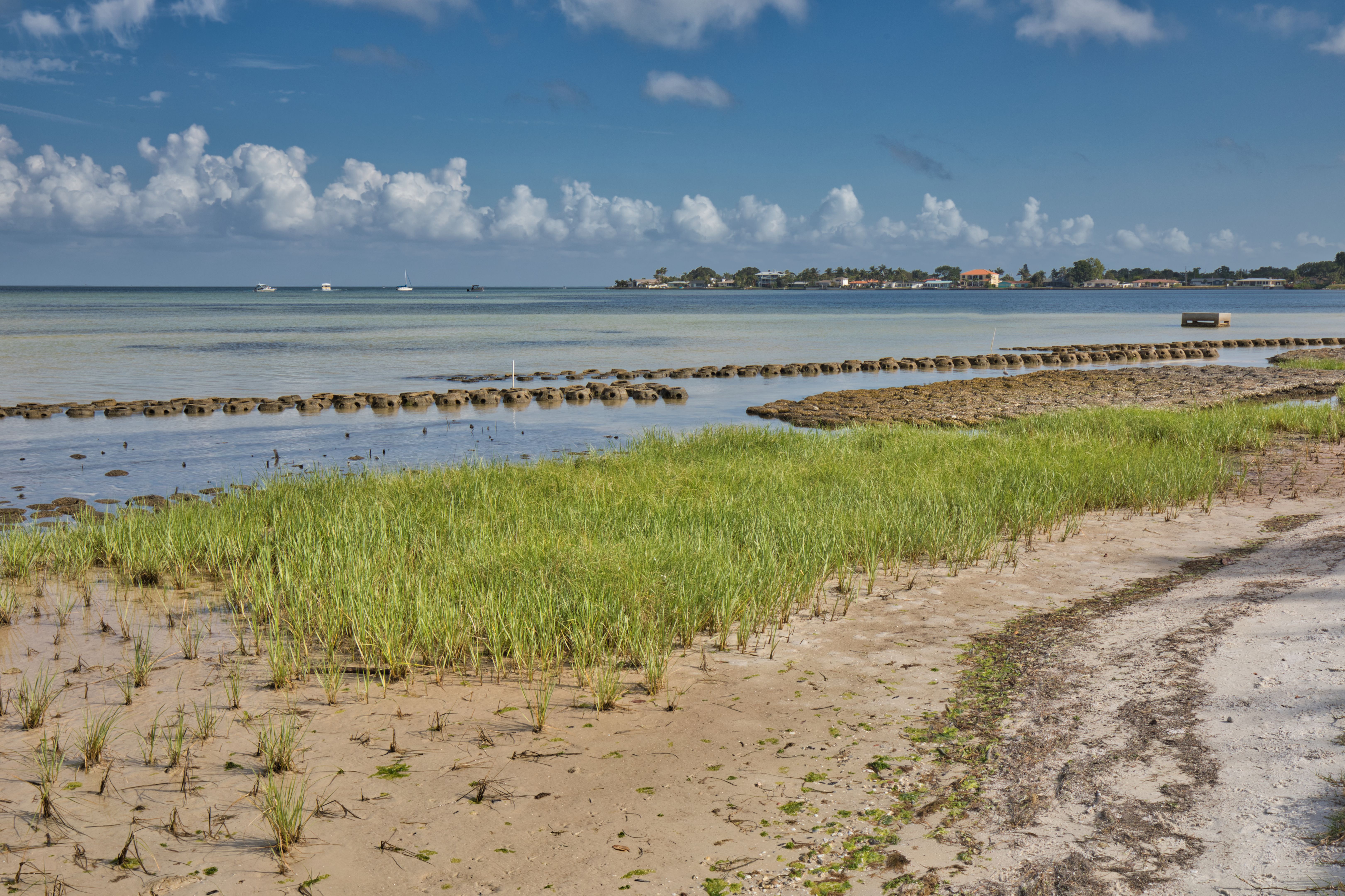coastal climate
