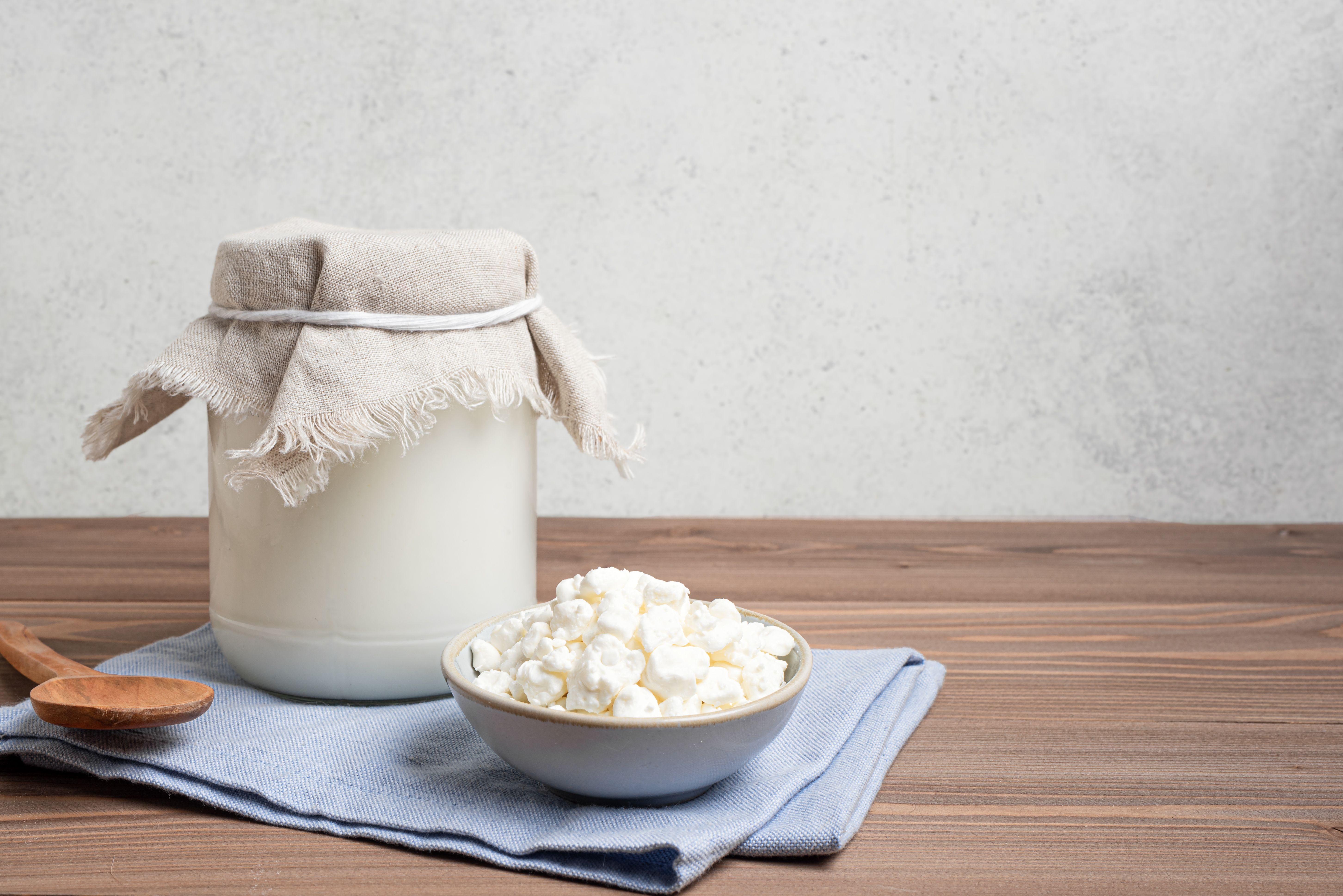 fermented milk kefir fermented milk kefir