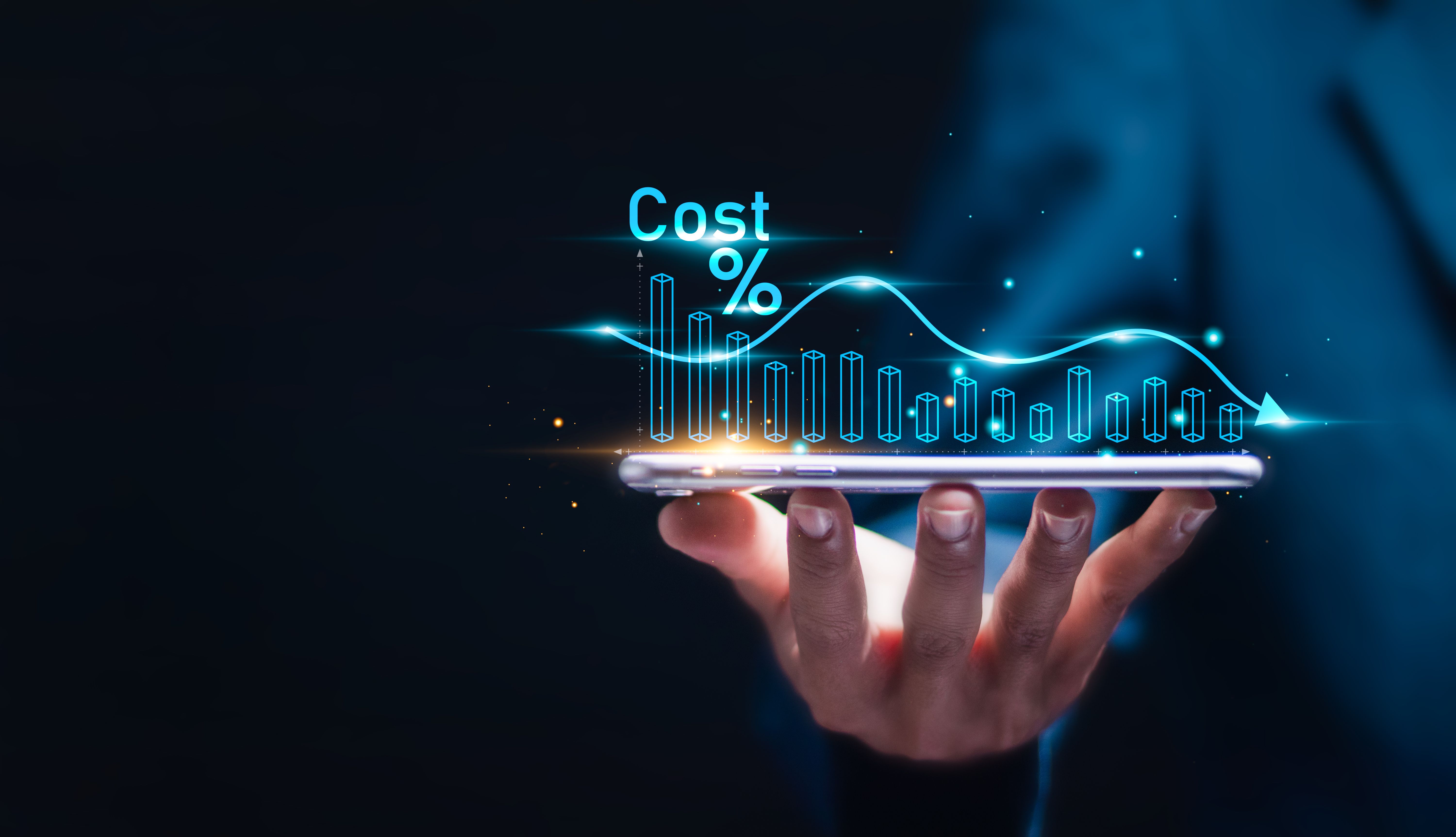 cost efficiency