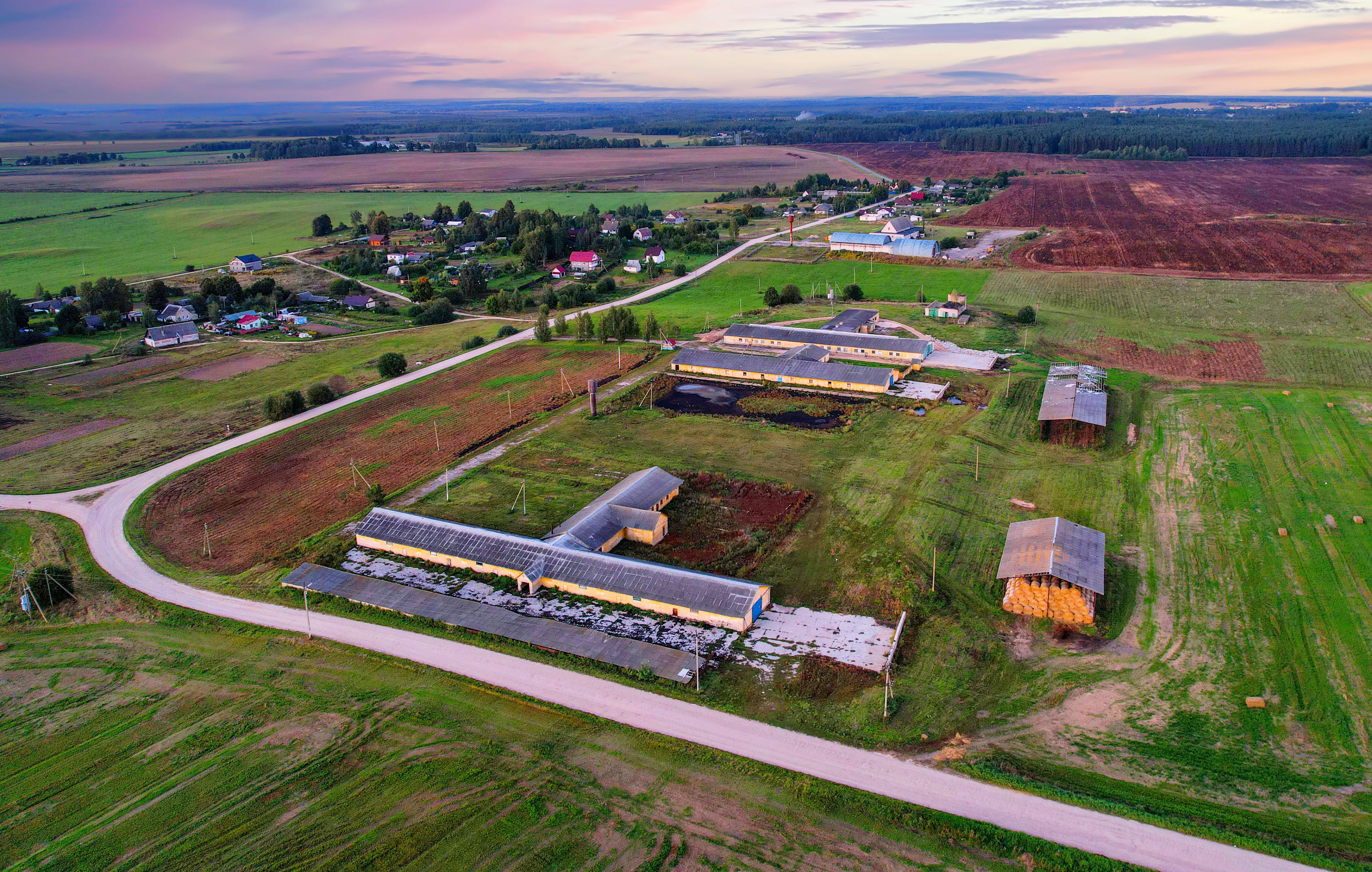 livestock farm