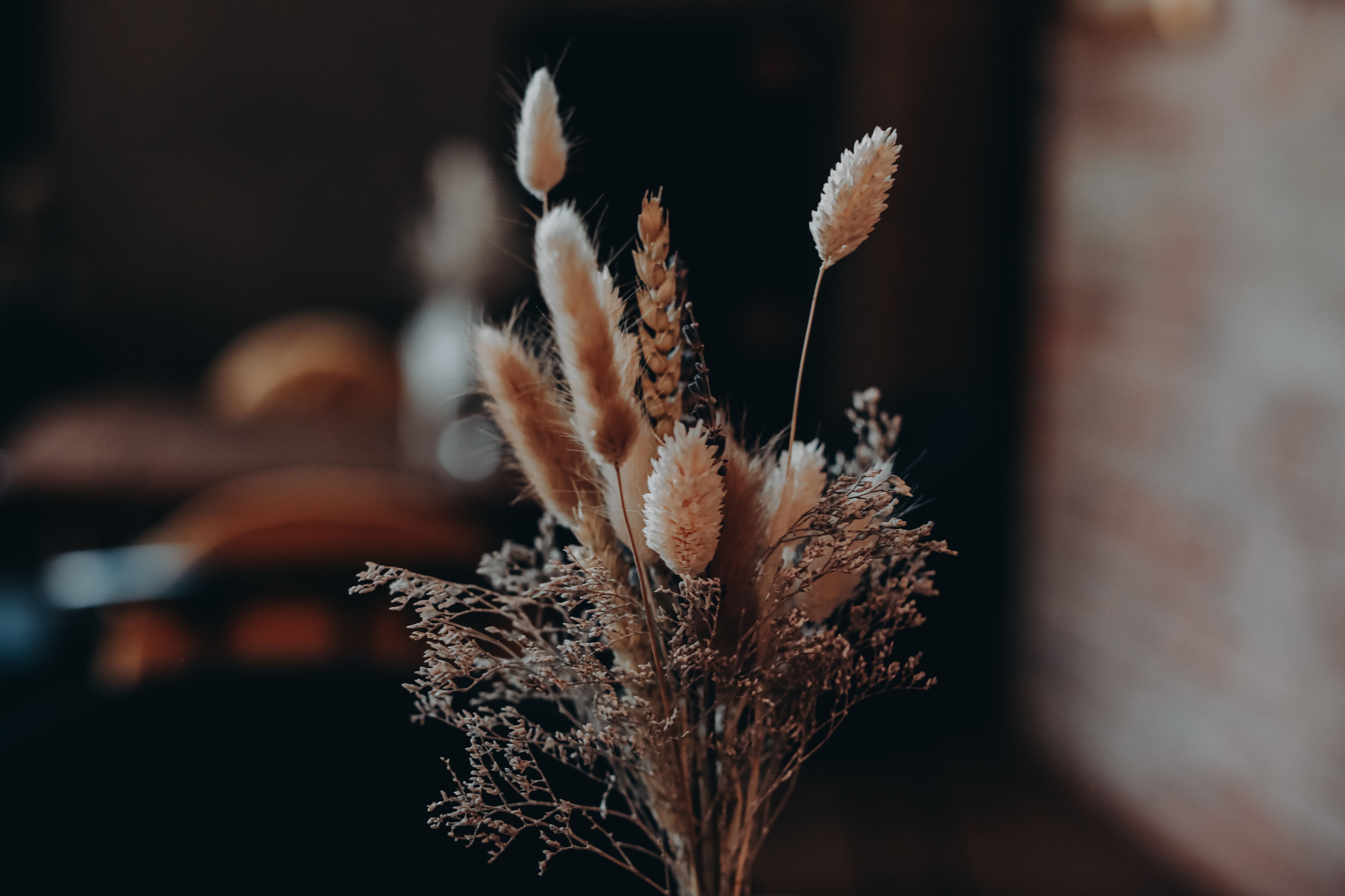 Composition of dried flowers