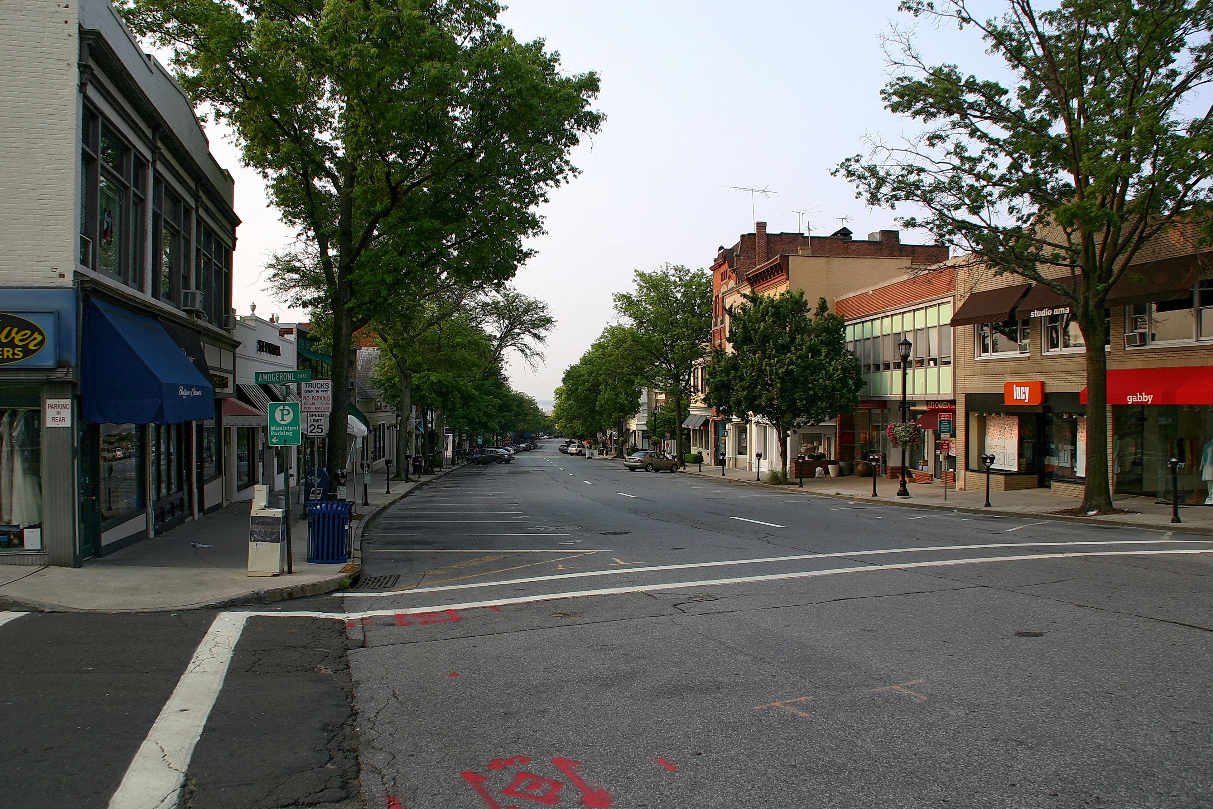 elkins park businesses