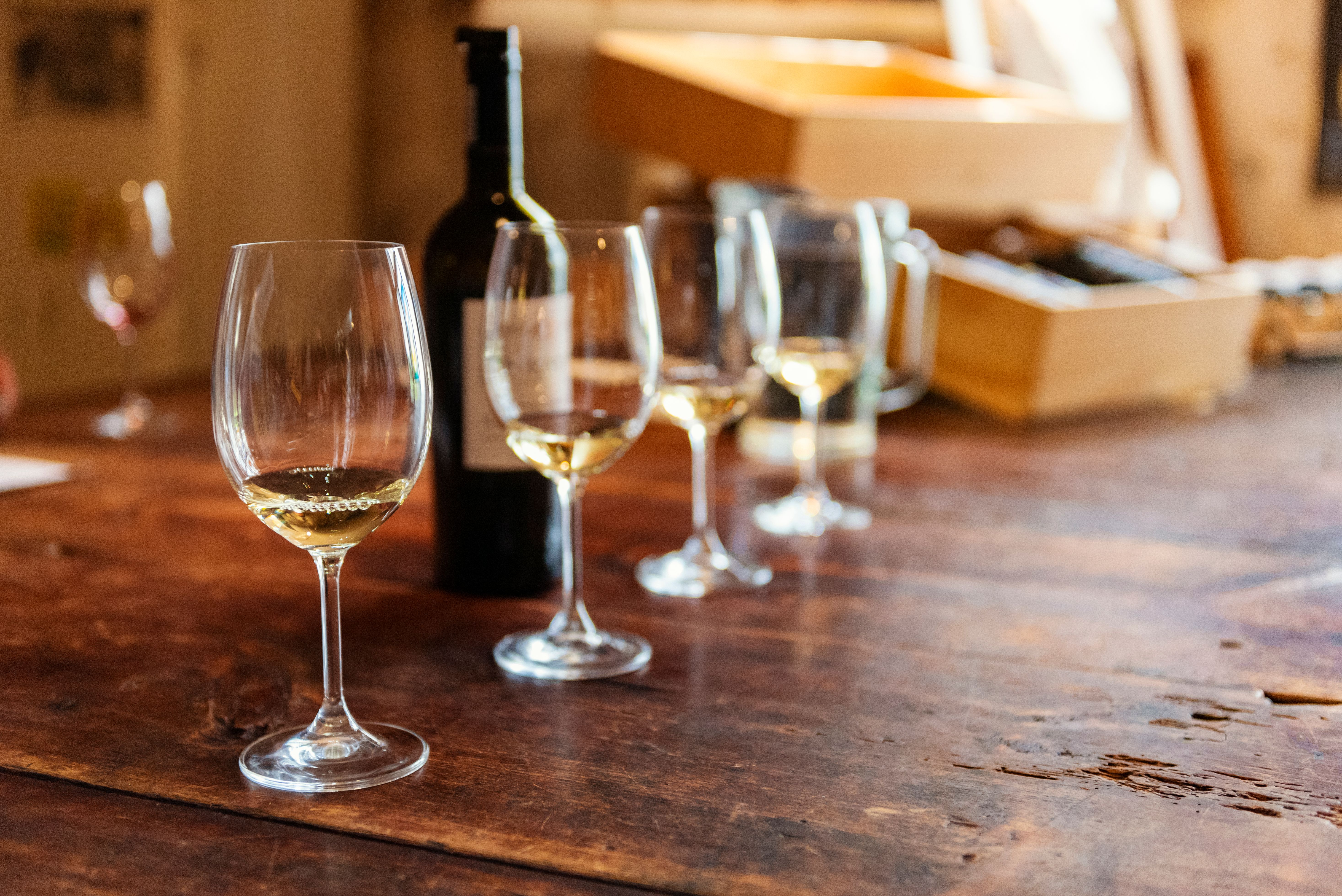 wine tasting cape town