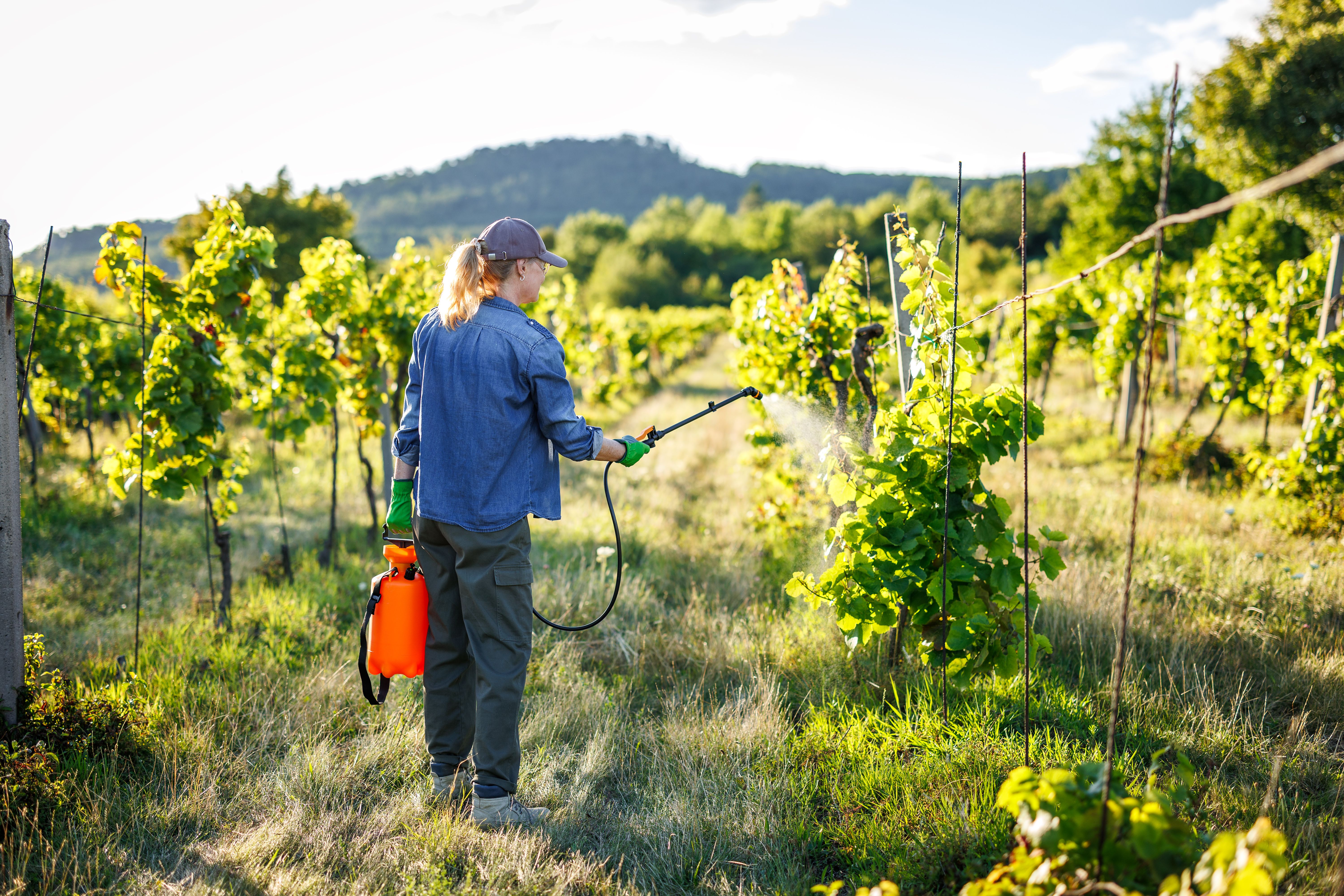 agriculture herbicide