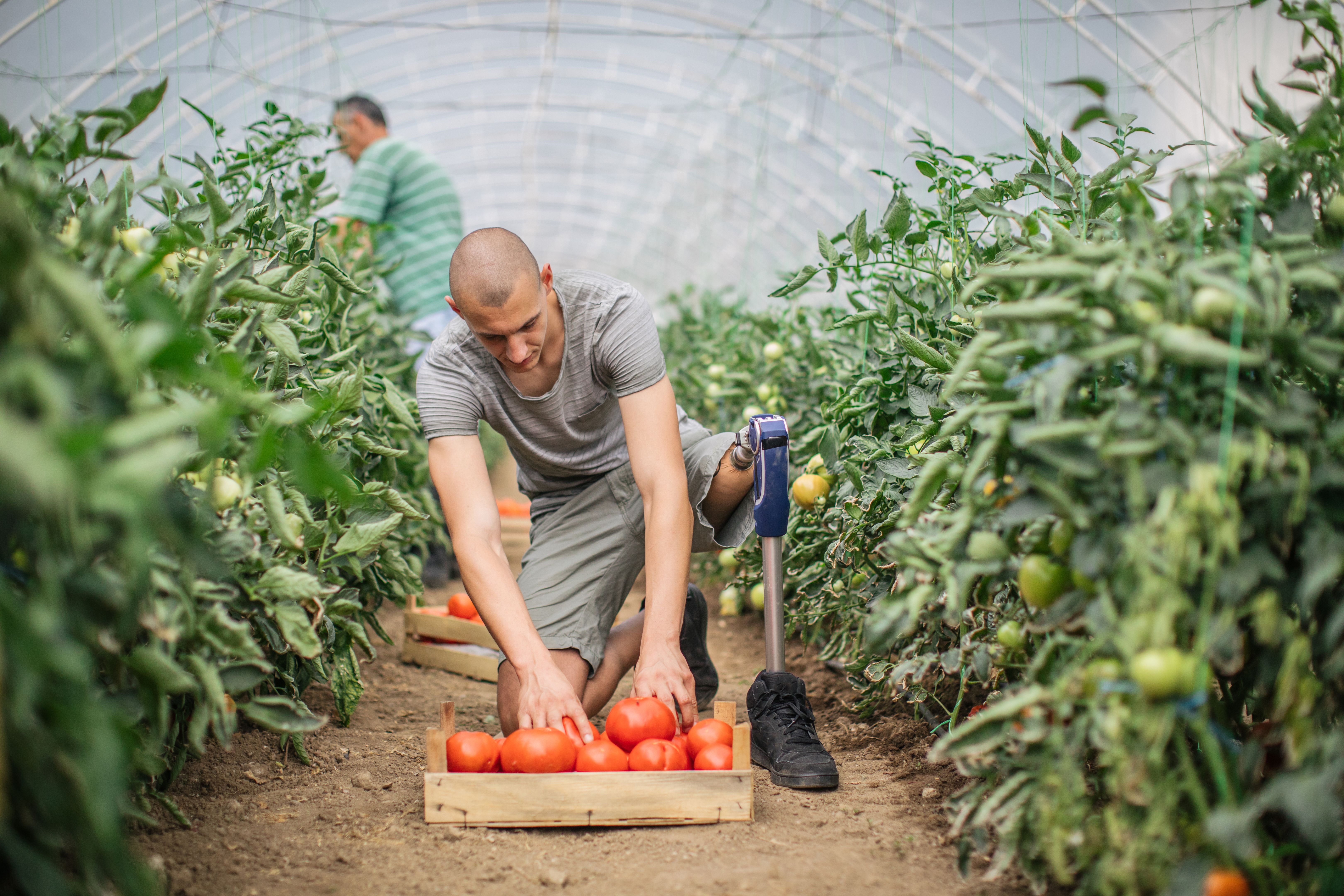 cultura organizacional