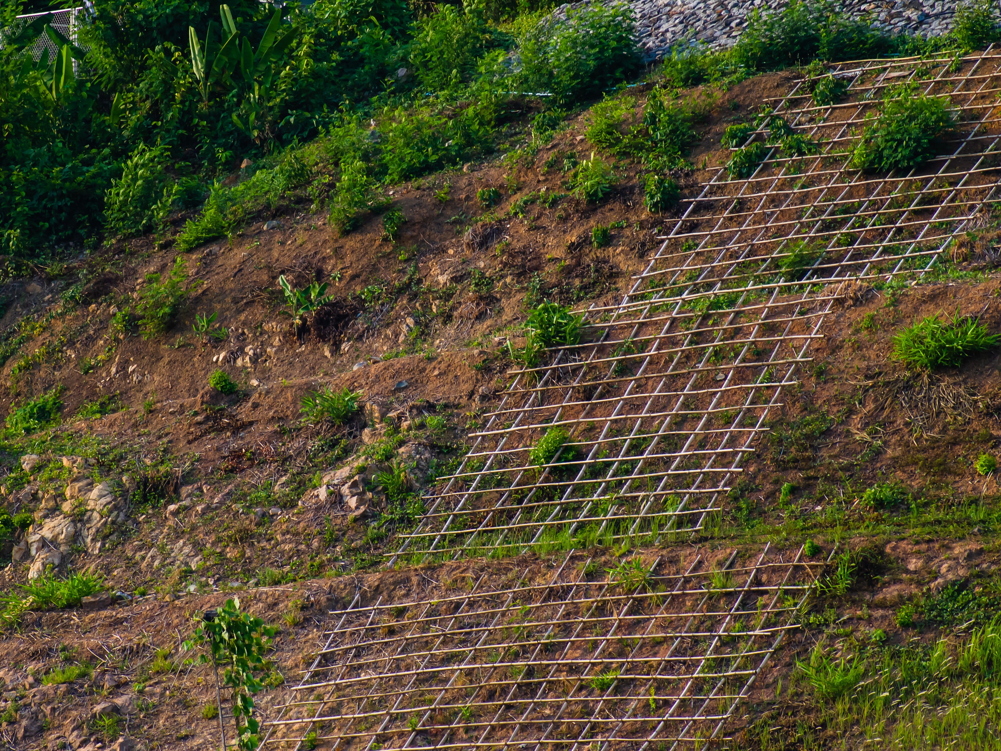 soil erosion prevention