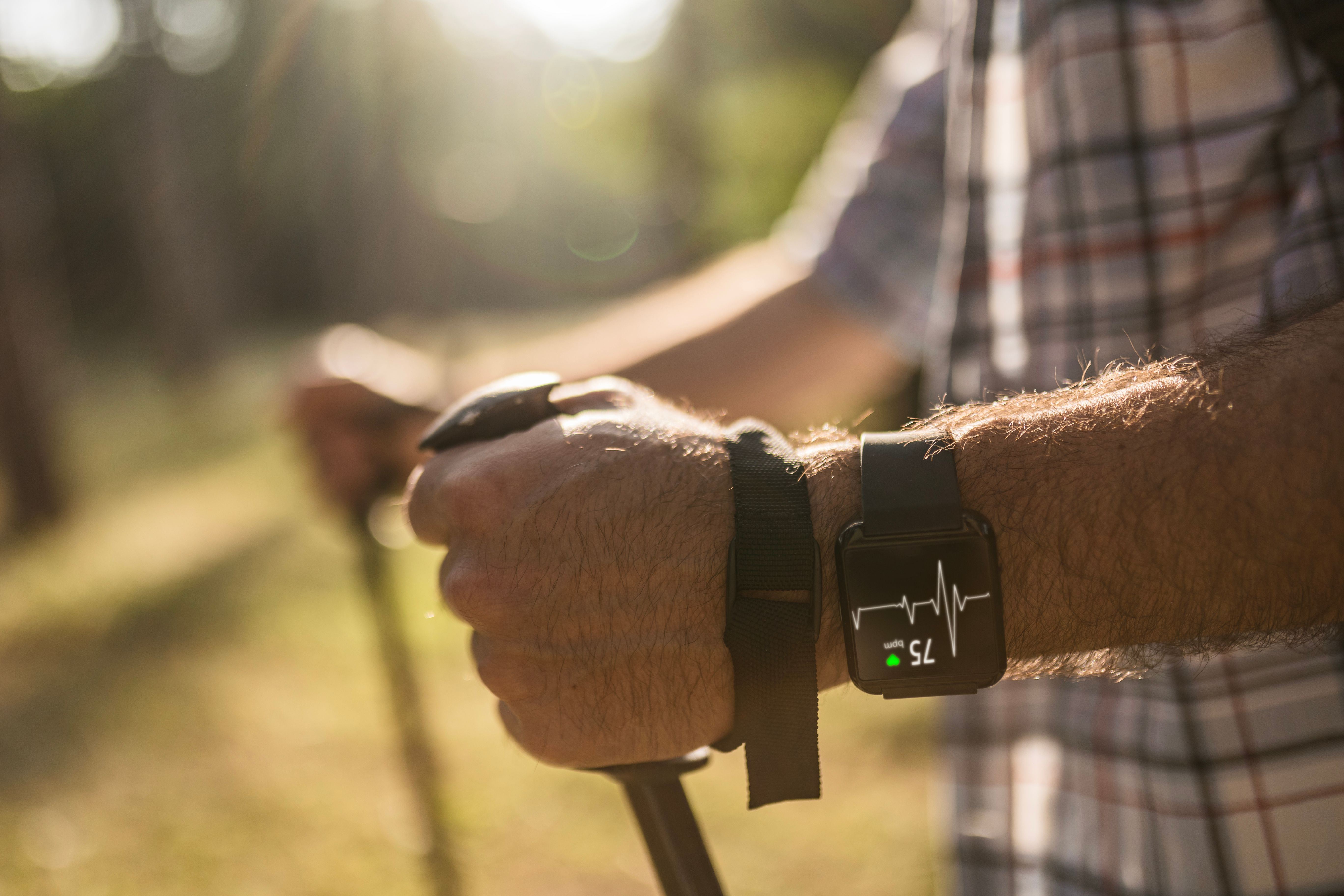 landscape consultation