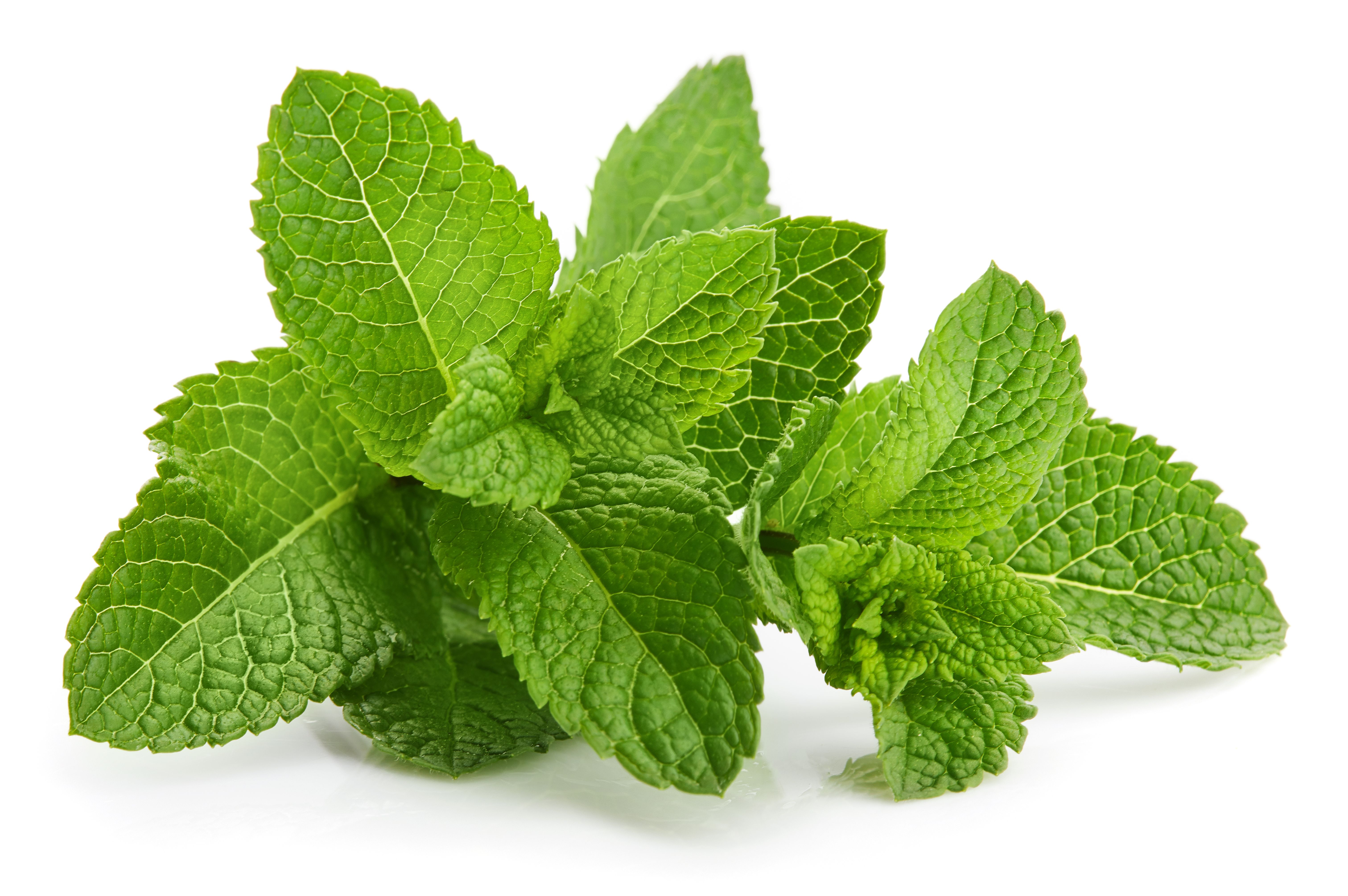 peppermint leaves