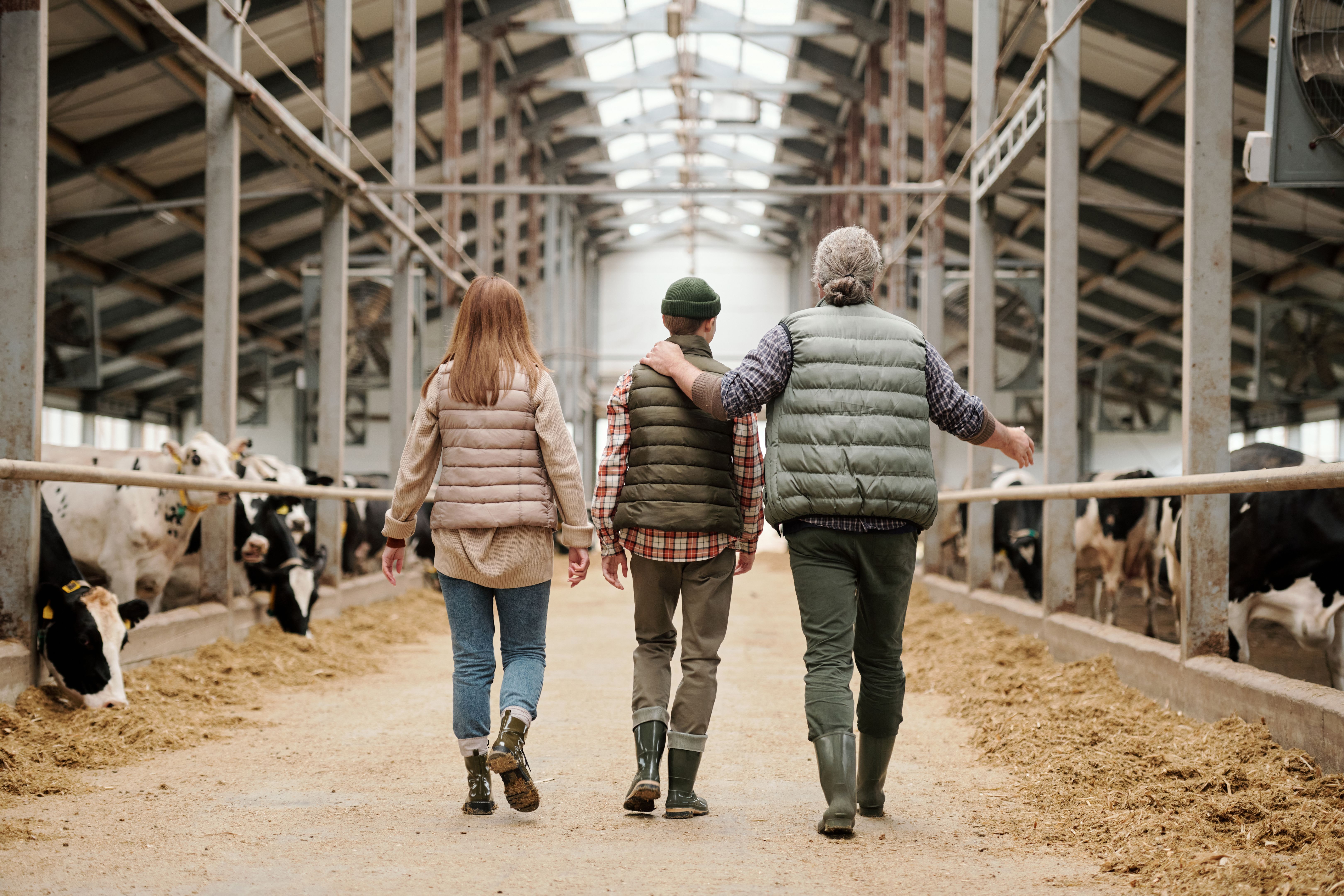 Father sharing farm experience with son