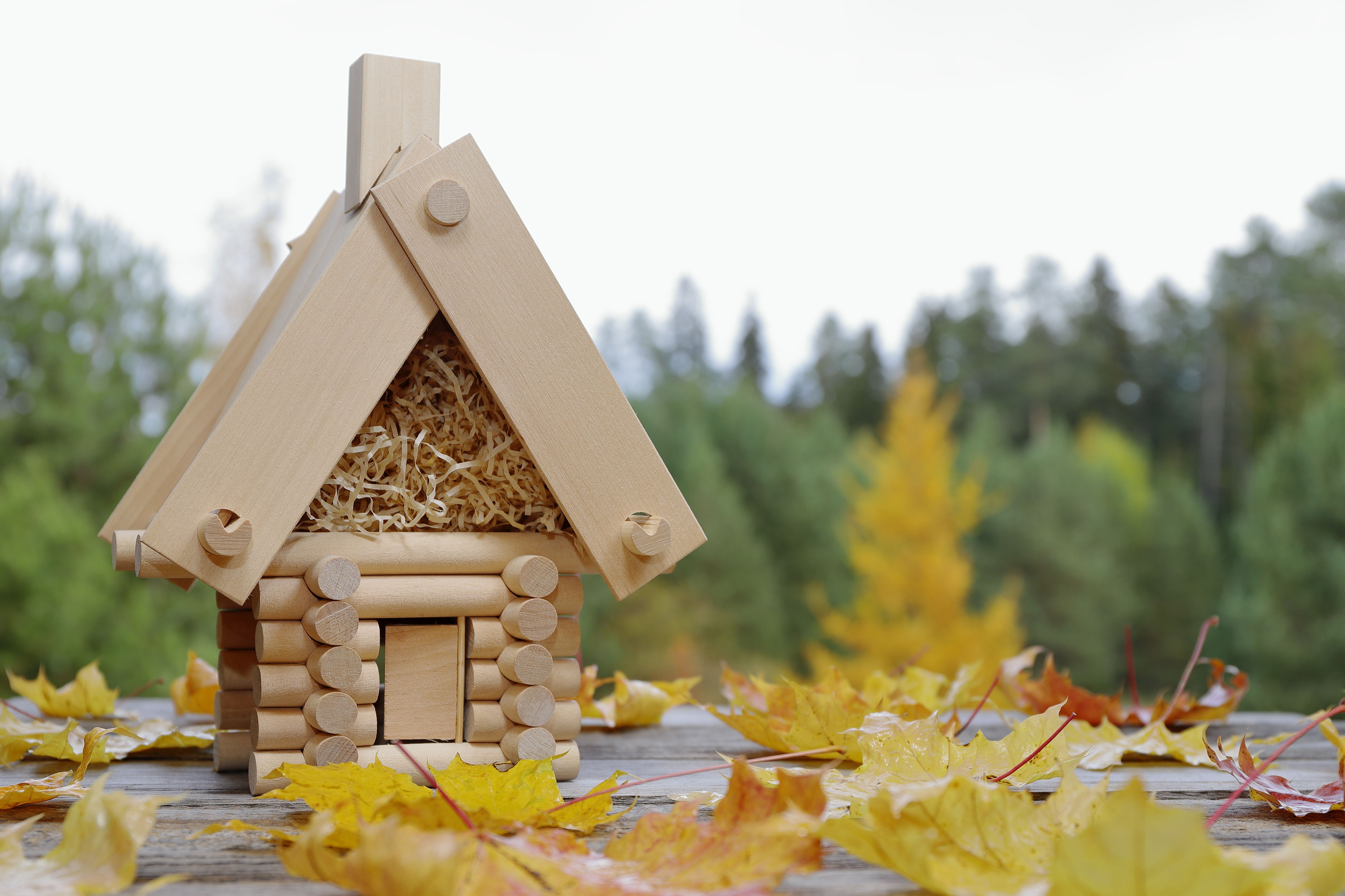 autumn home buying