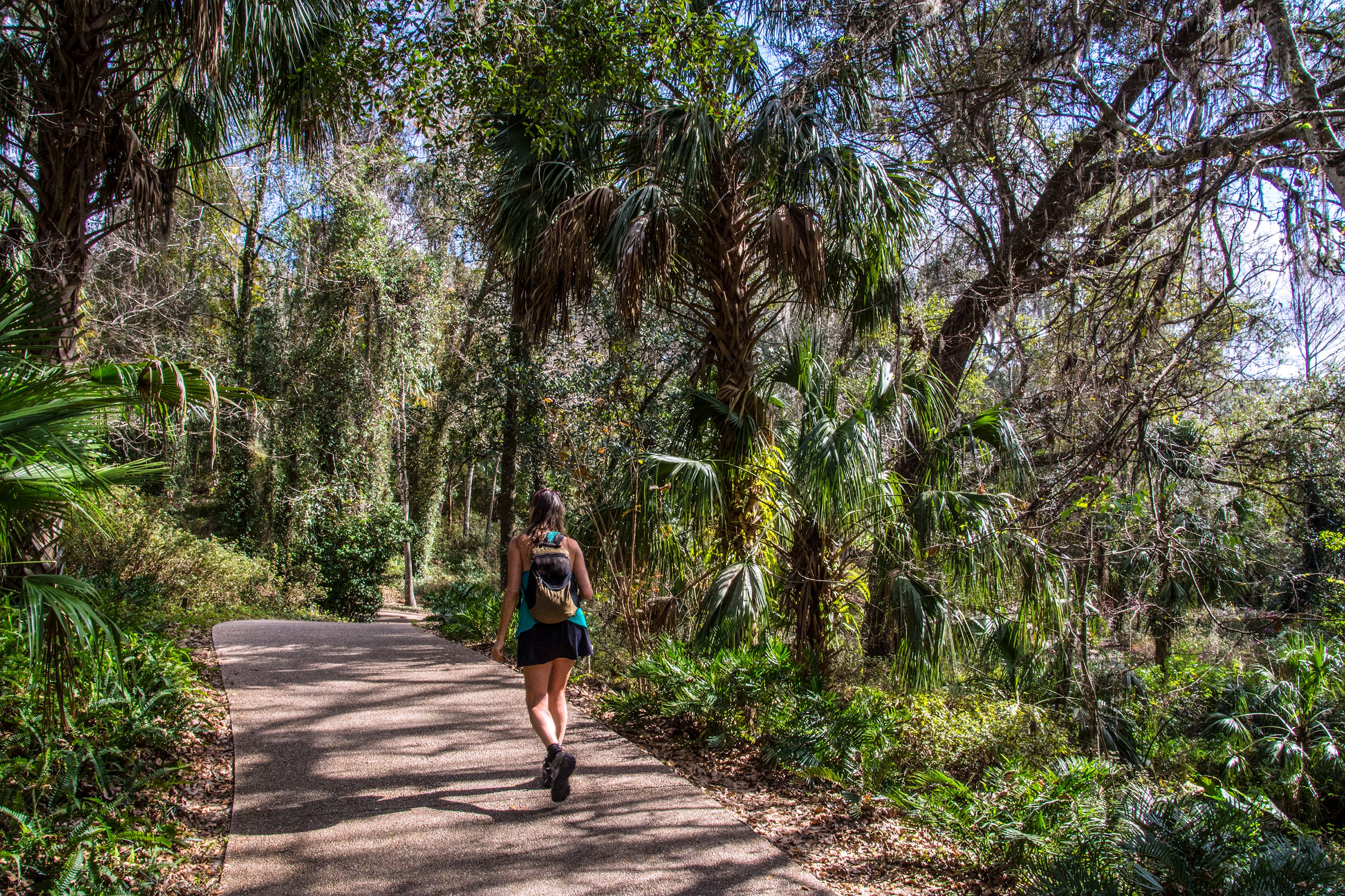 shaded hiking trail