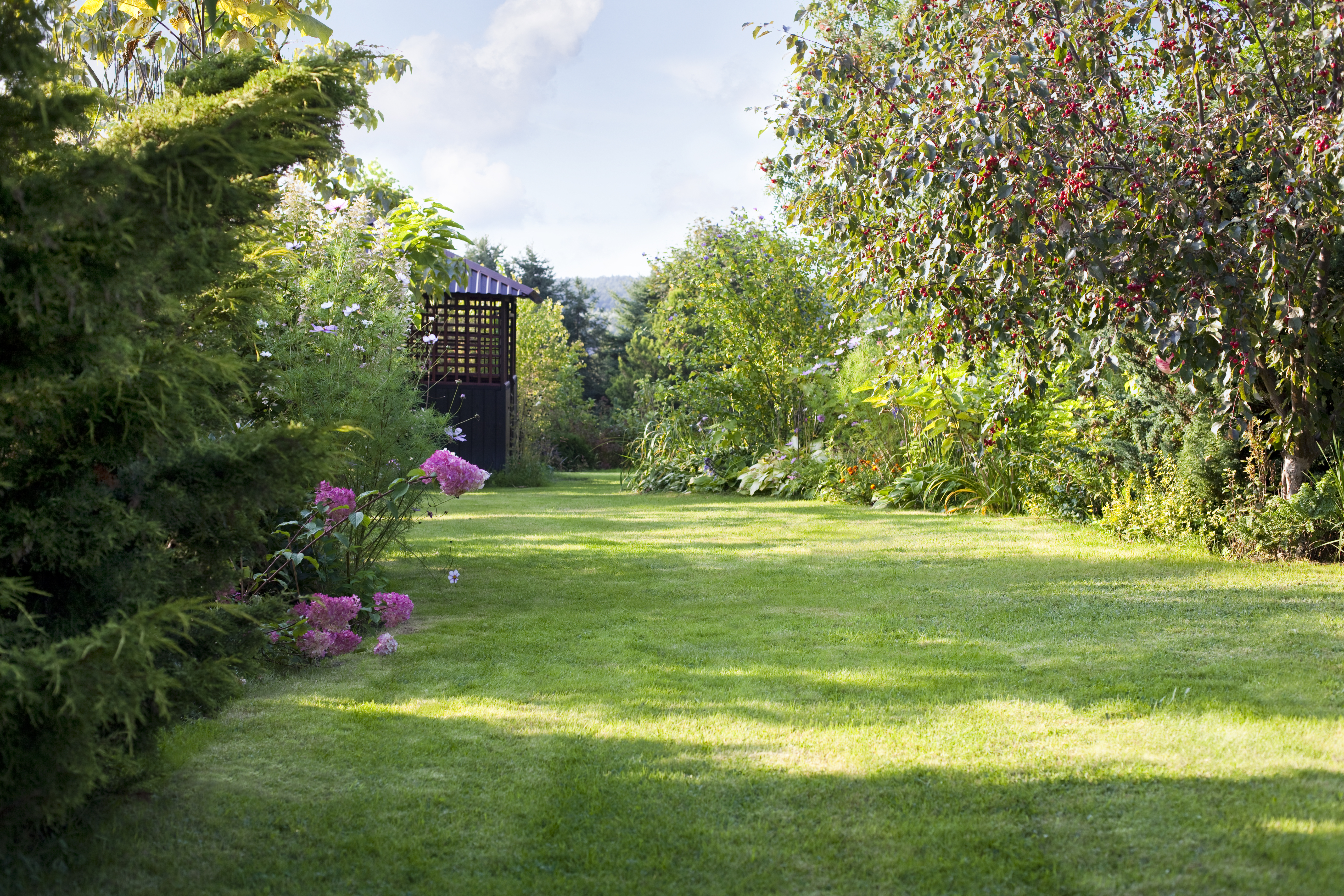 Summer house in the backyard green garden landscape and green lawn background with a lot ofarbour, gazebo, background, backyard, yard, beautiful, bloom, blossom, bush, color, colorful, country, decorative, empty, exterior, flora, floral, flower, fr space.