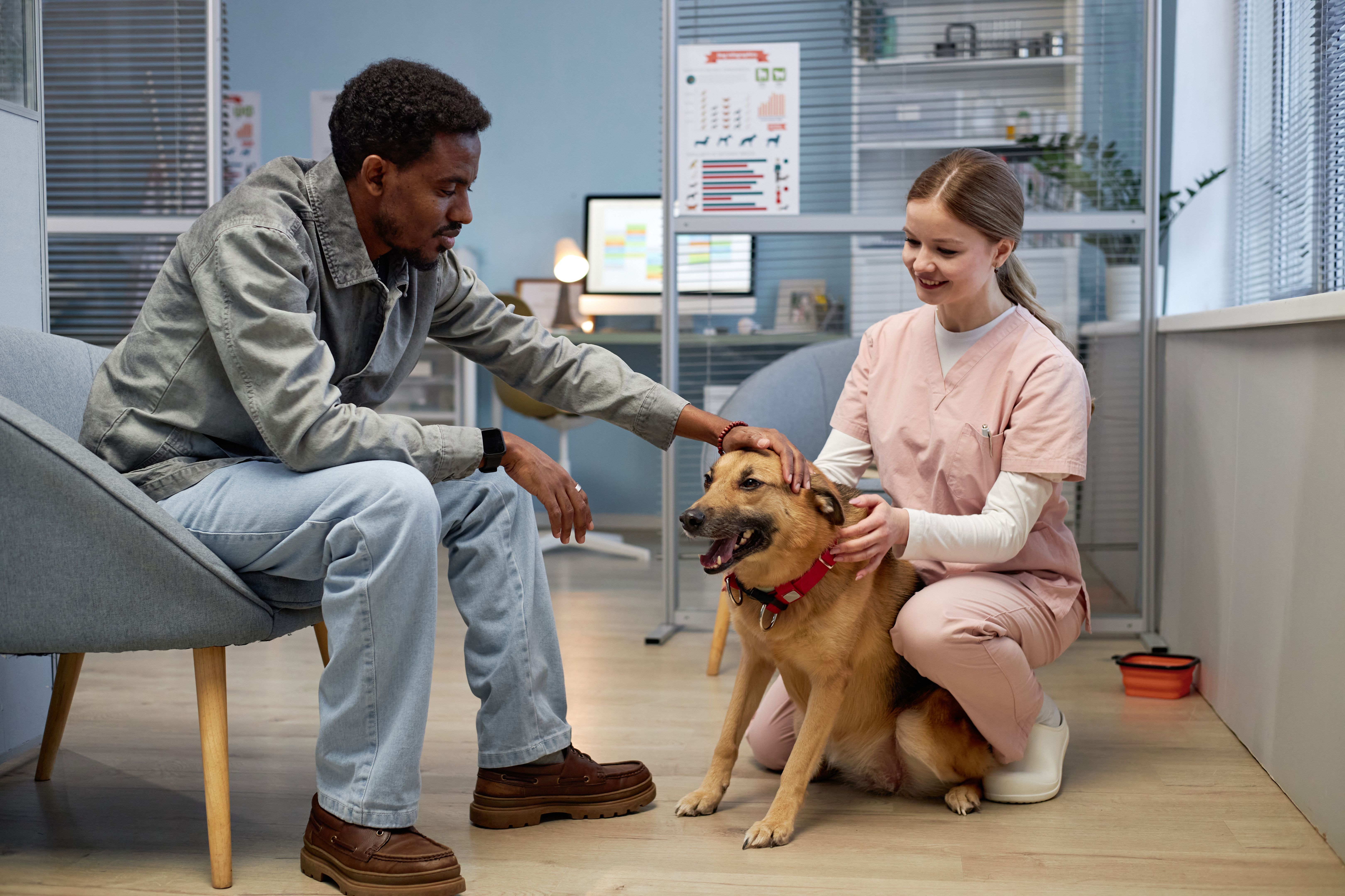 veterinarian clinic