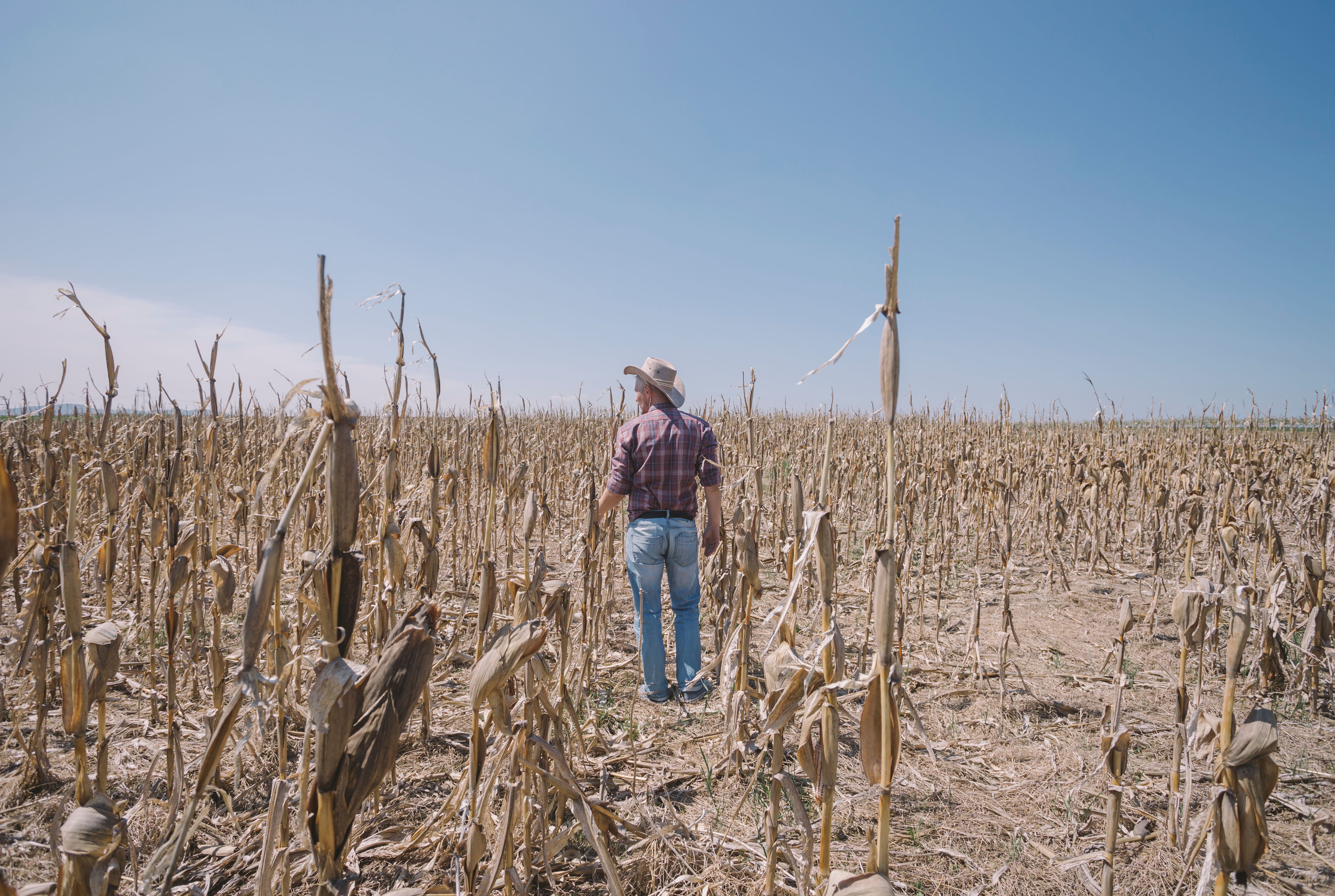 agriculture challenges