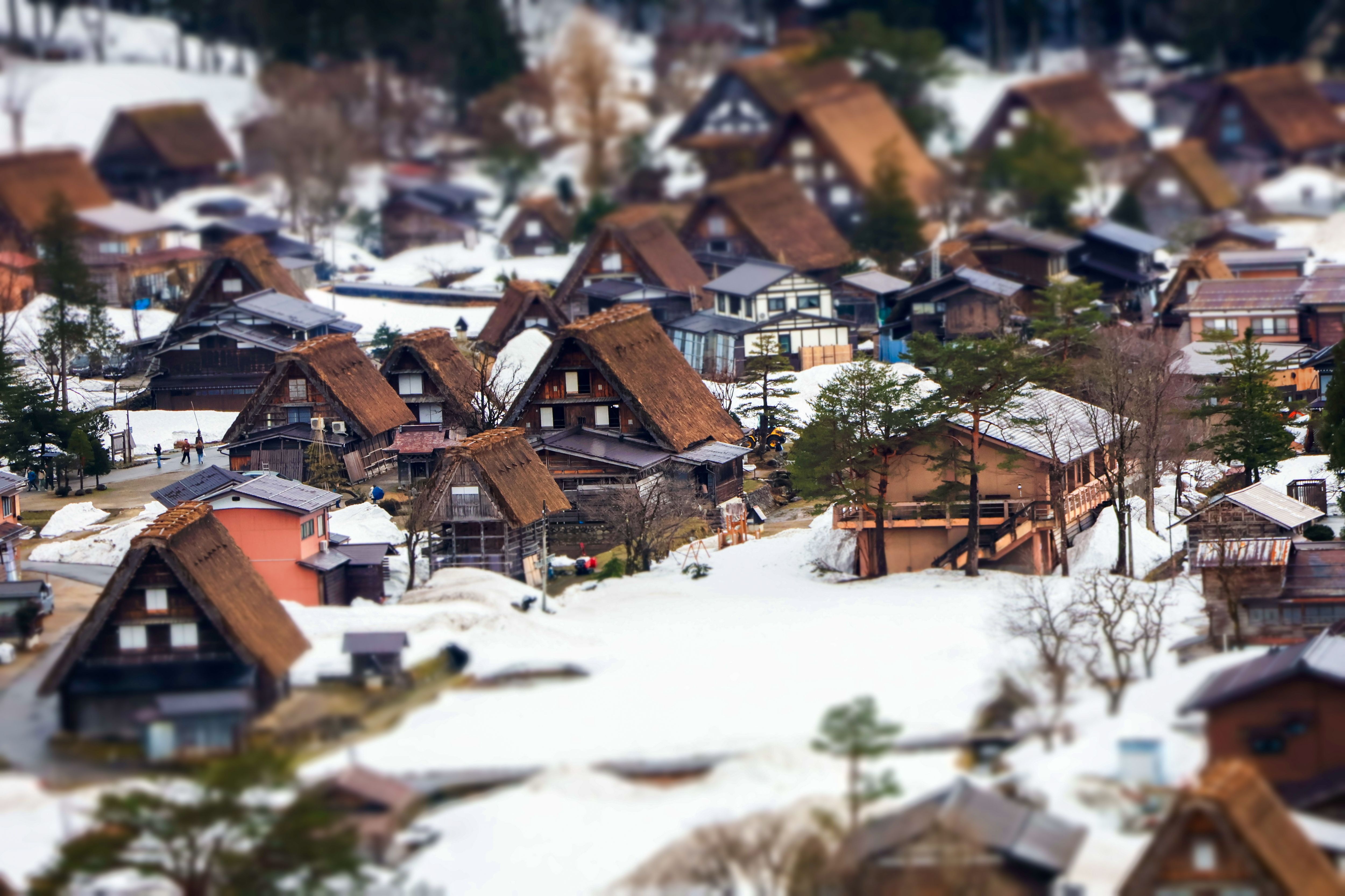 local water purification