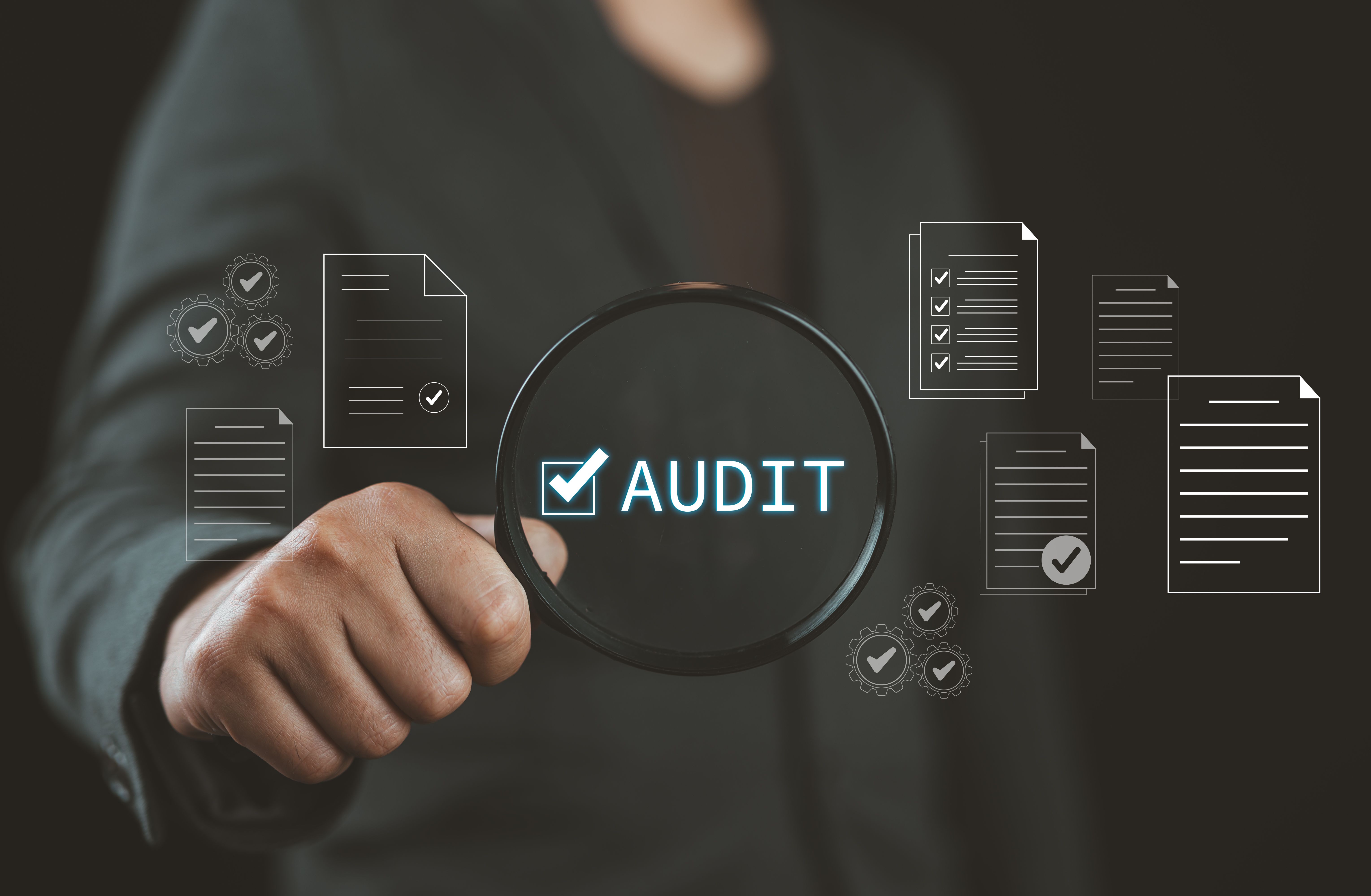 website audit