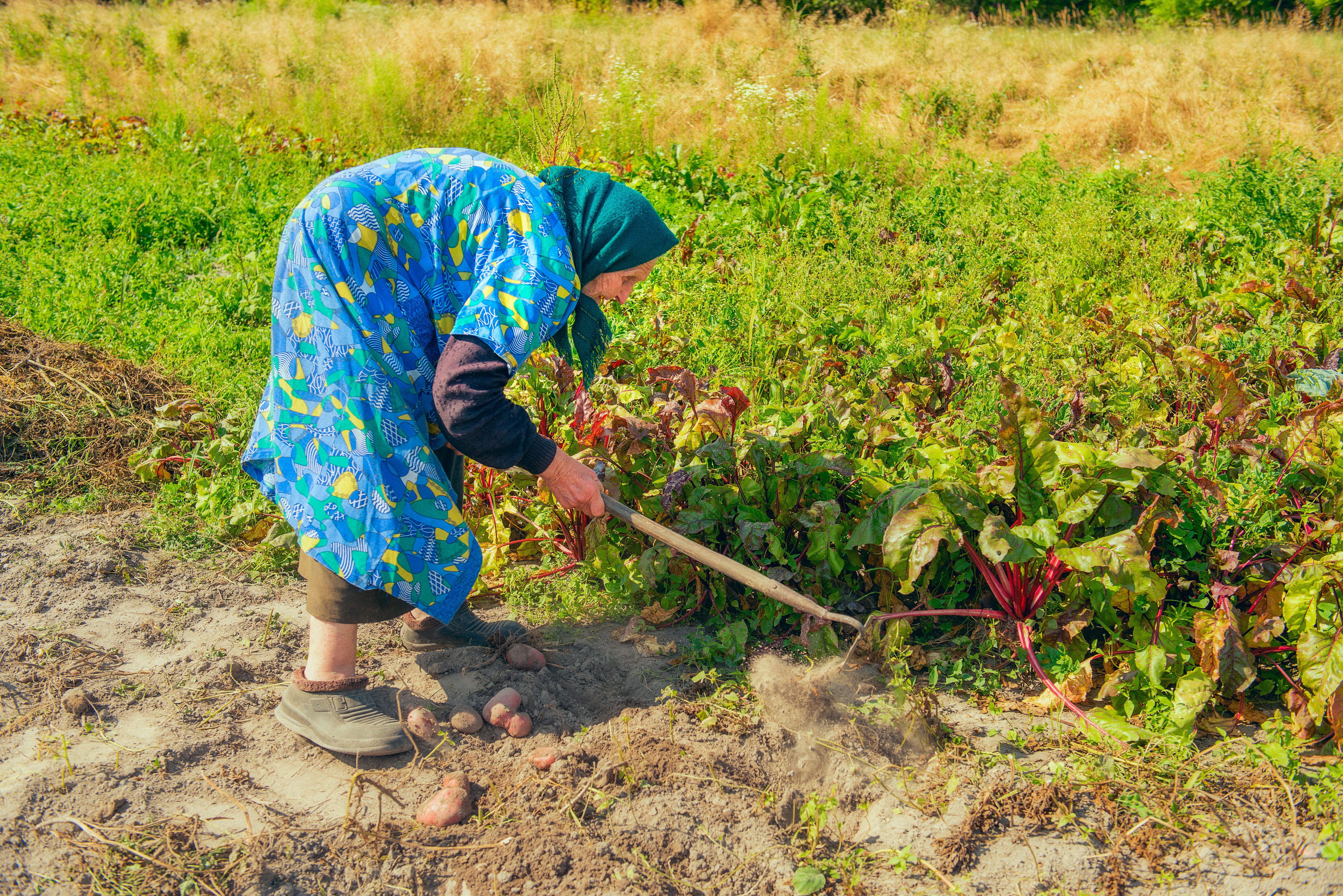 conservation efforts