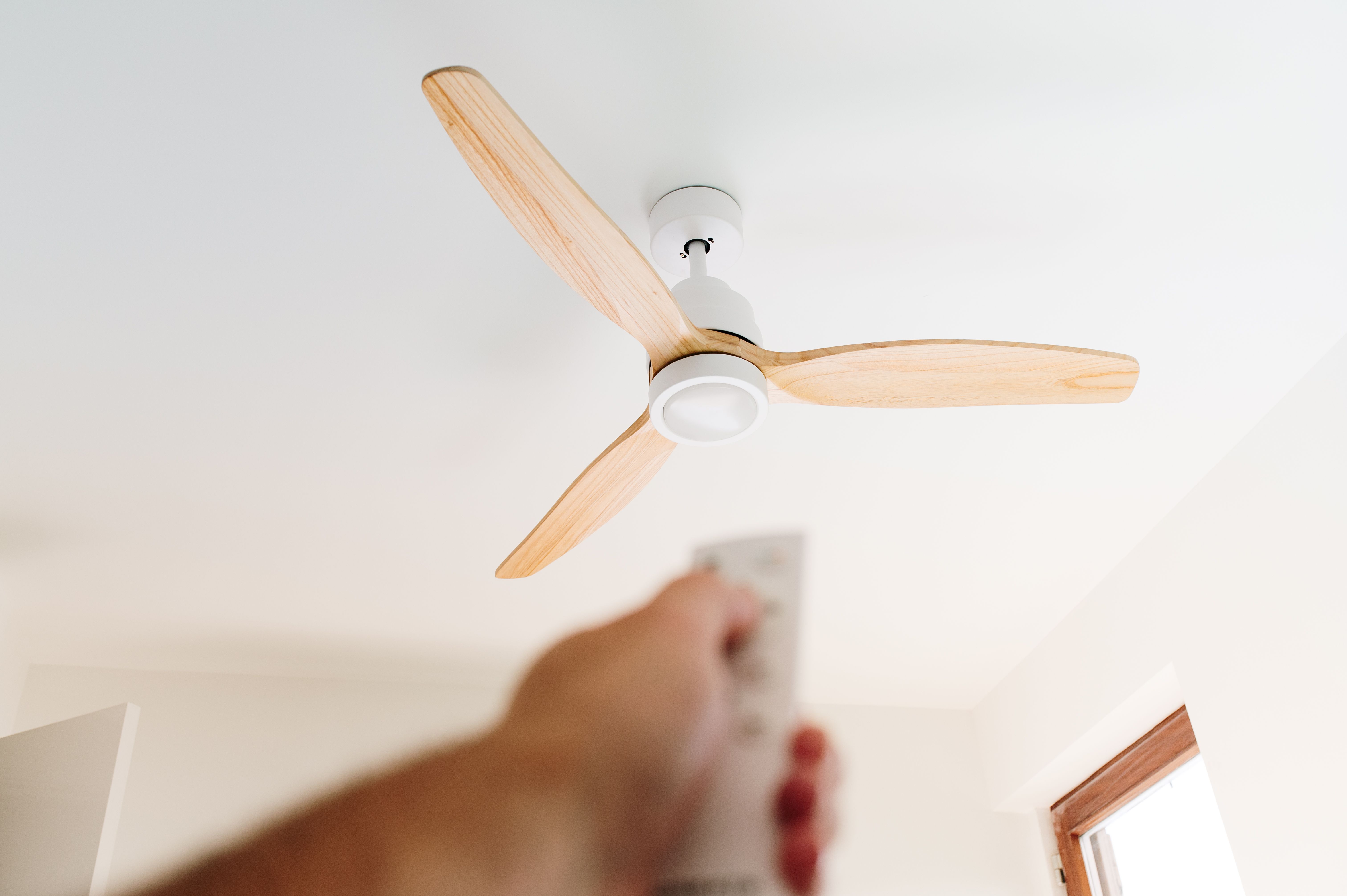 ceiling fan