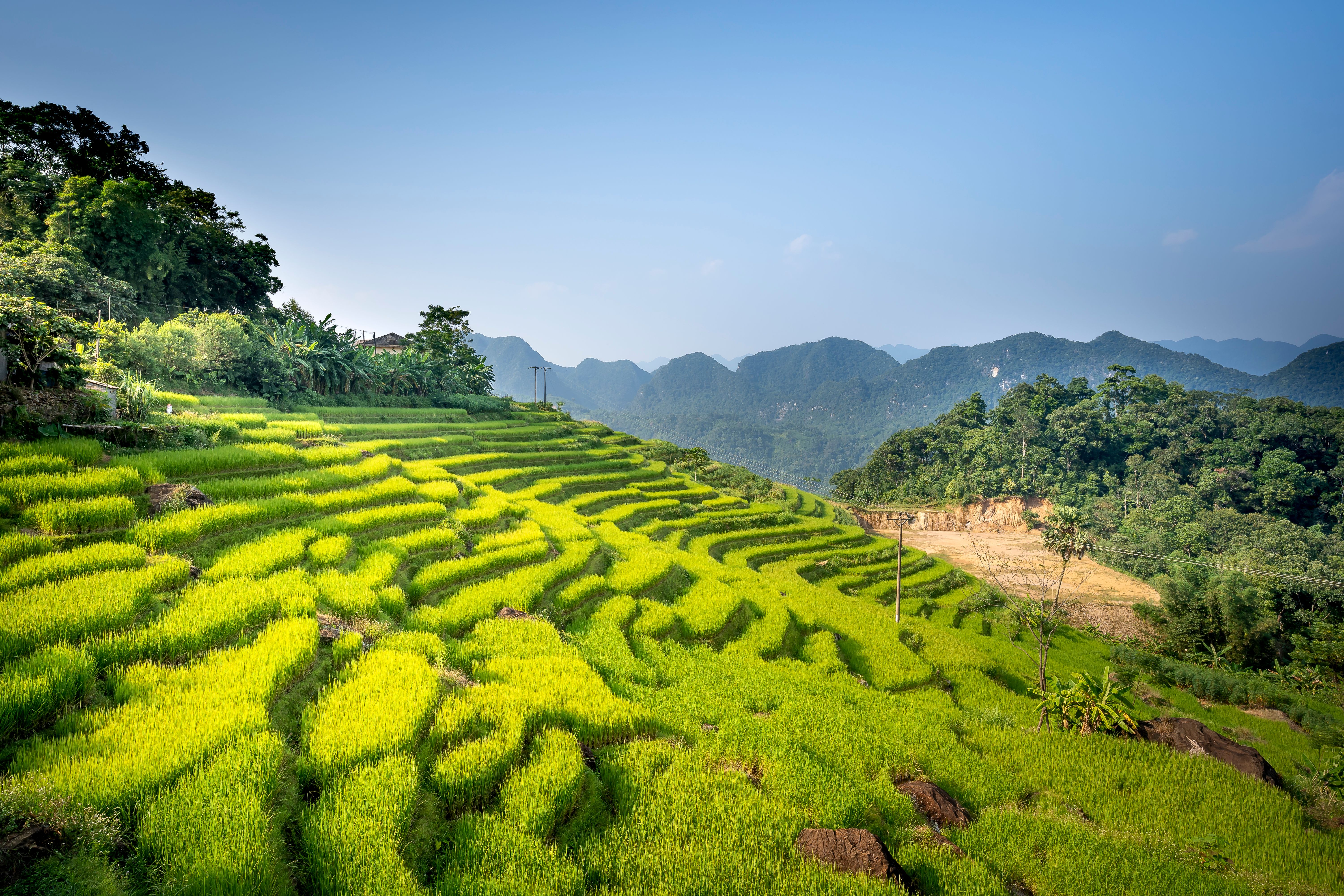 view of beautiful green terraces of Pu Luong commune, Thanh Hoa province, Viet Nam