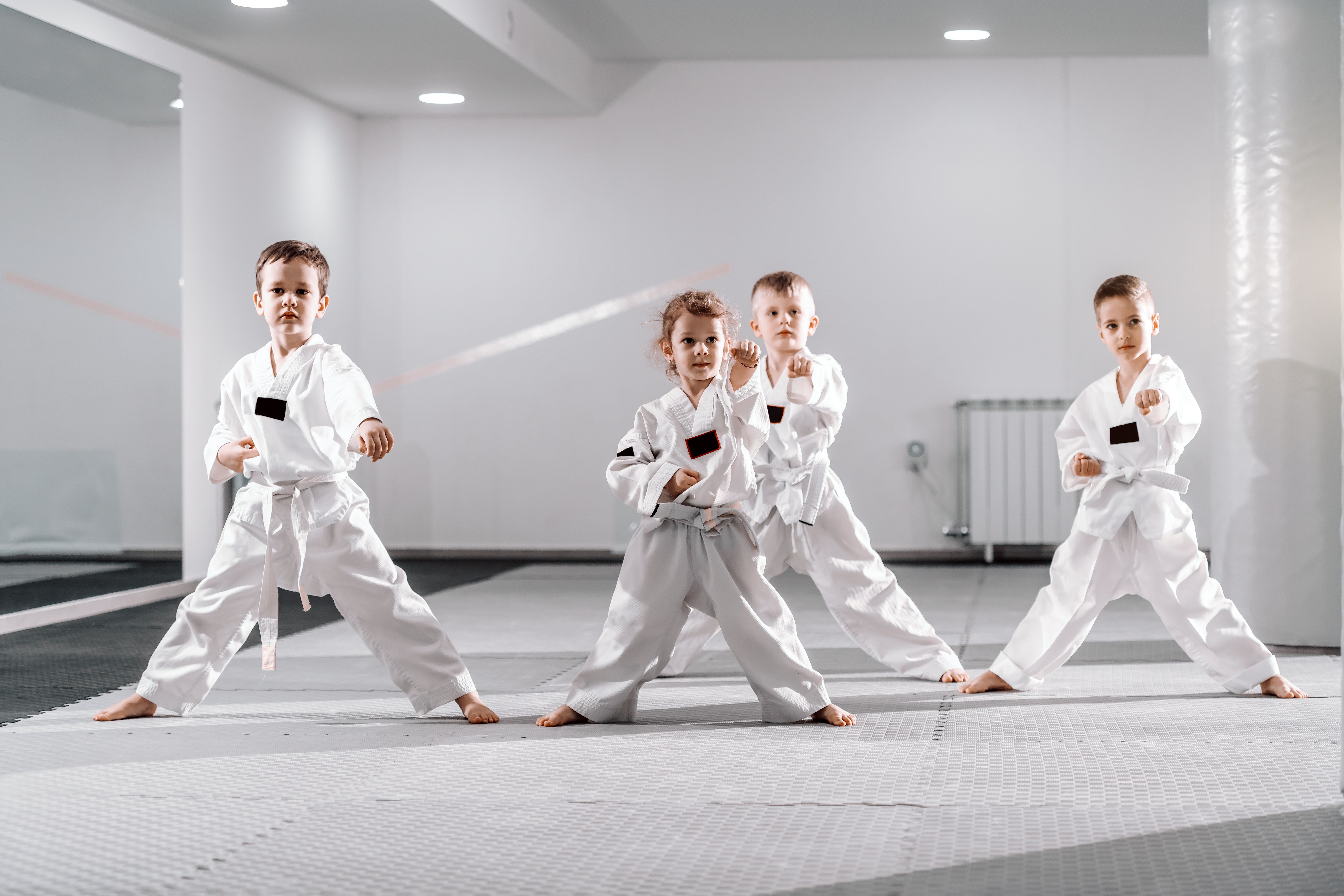 martial arts schools
