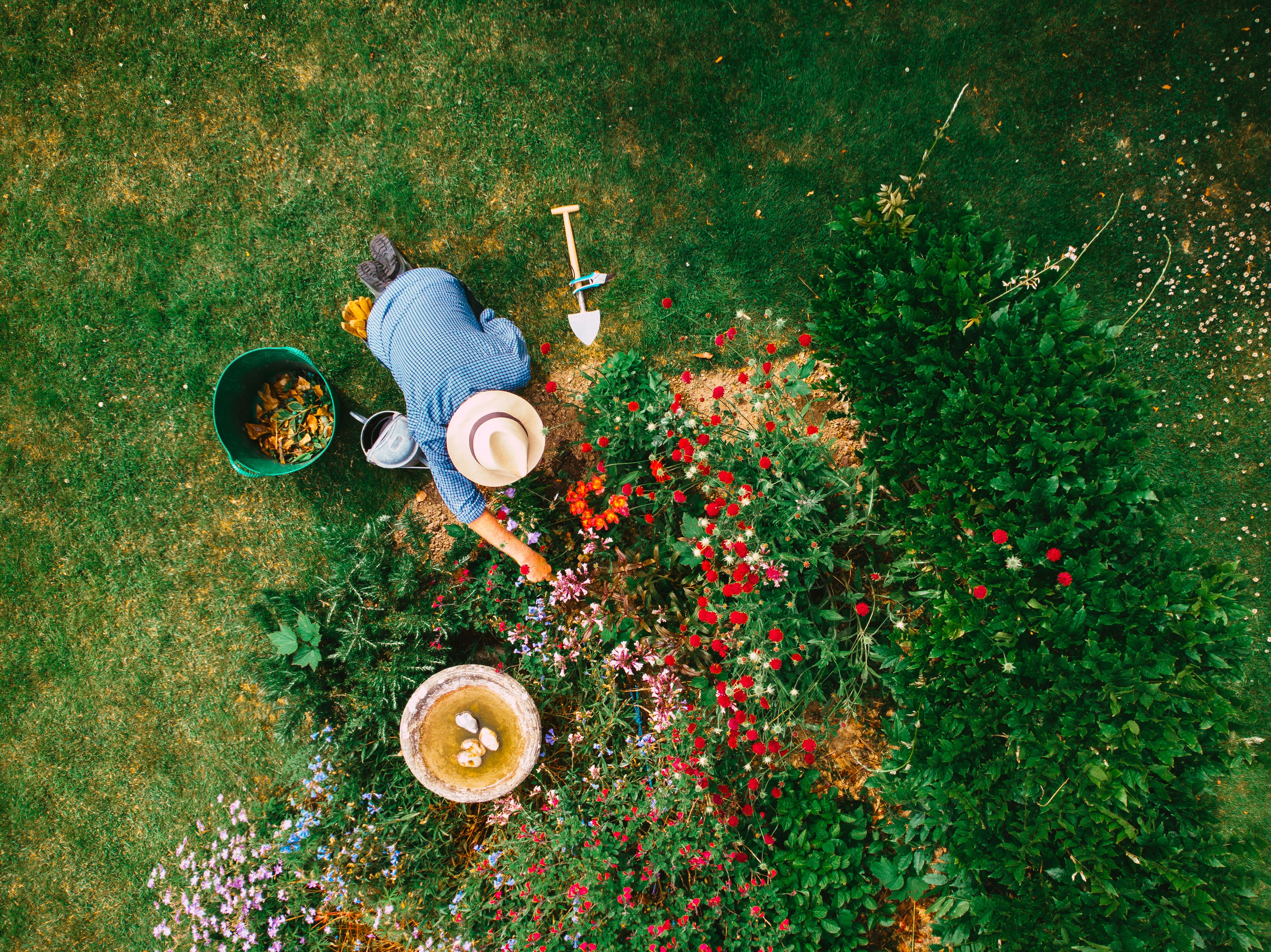 home gardening