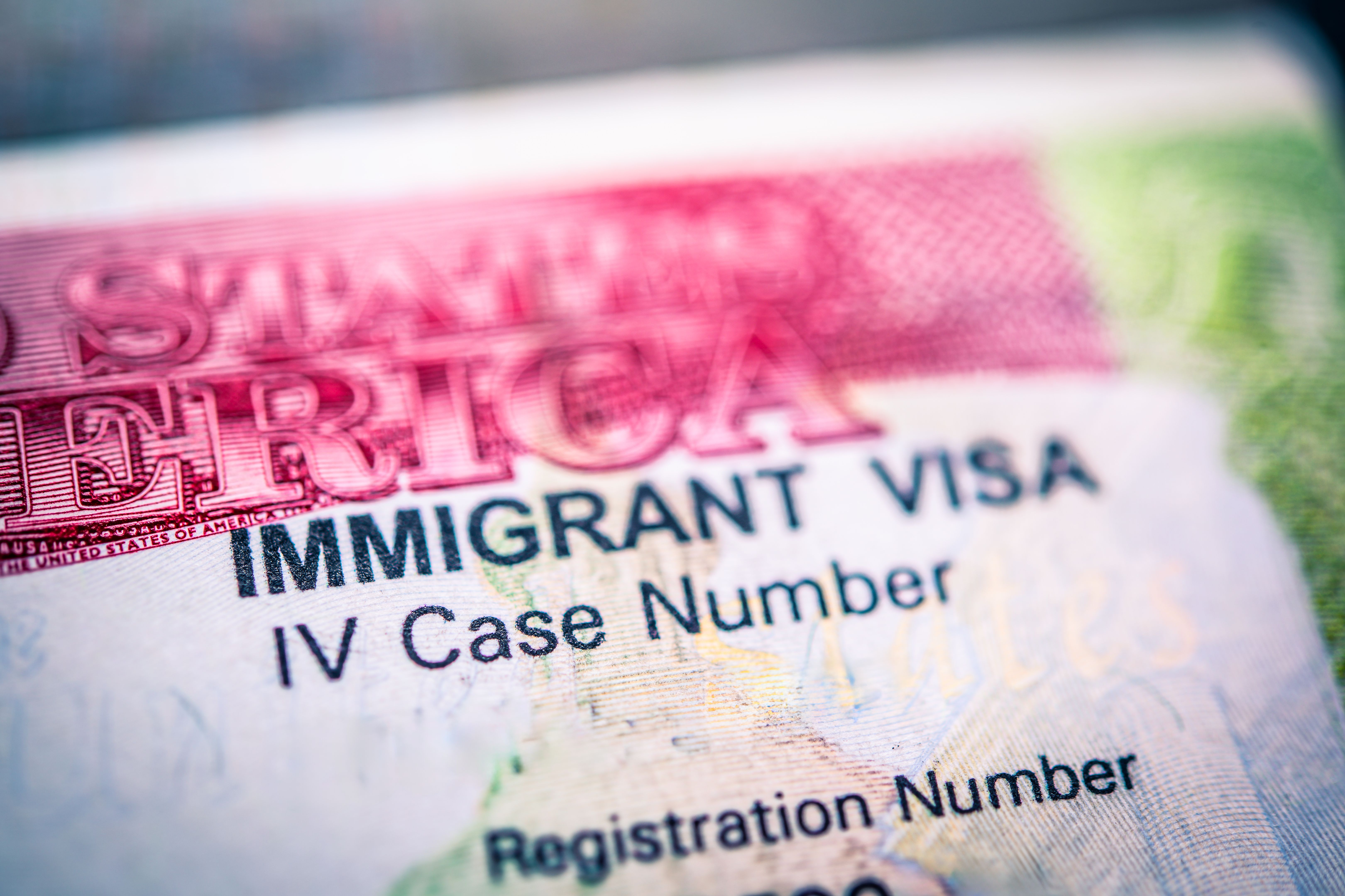 immigration policy