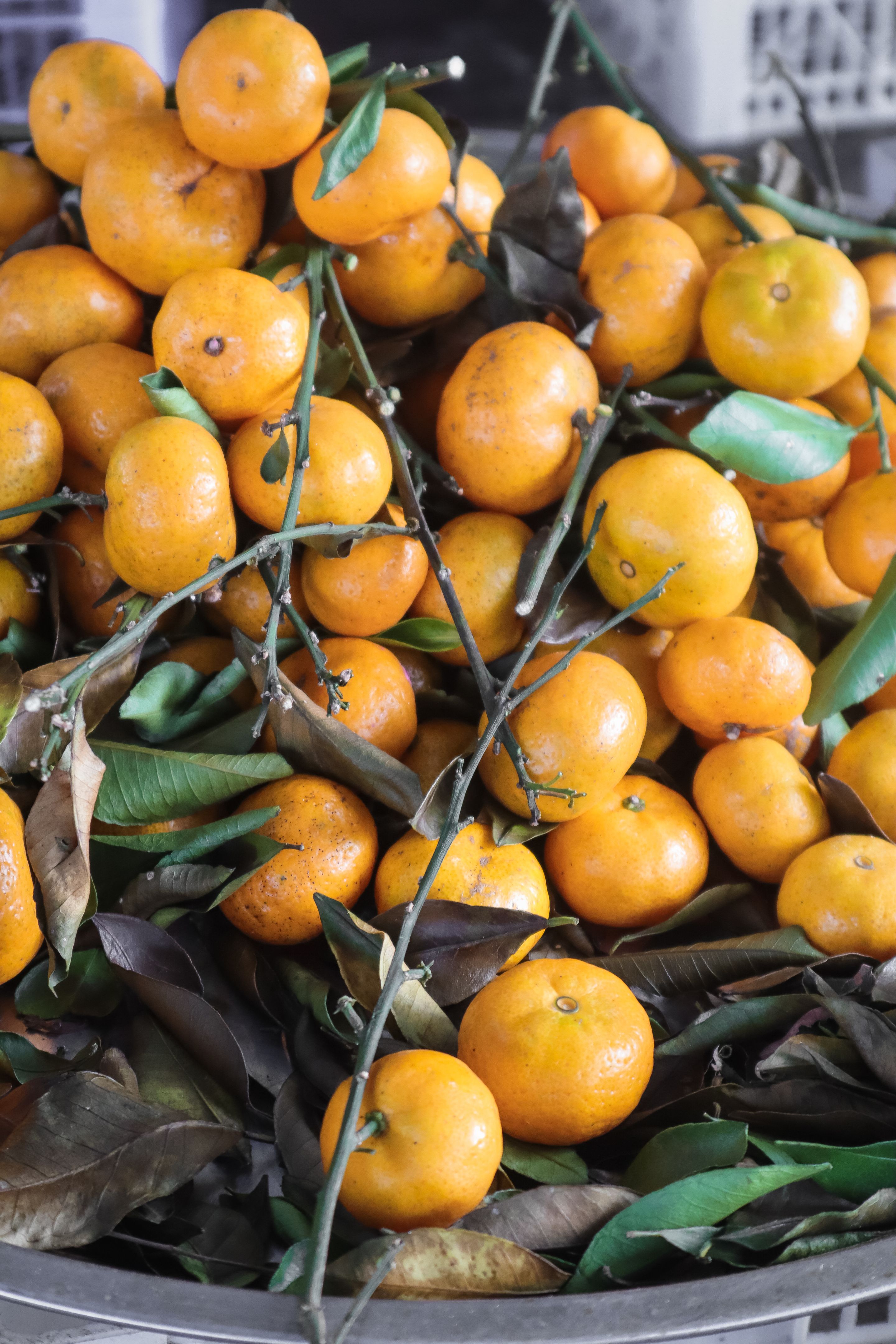 siem reap street food