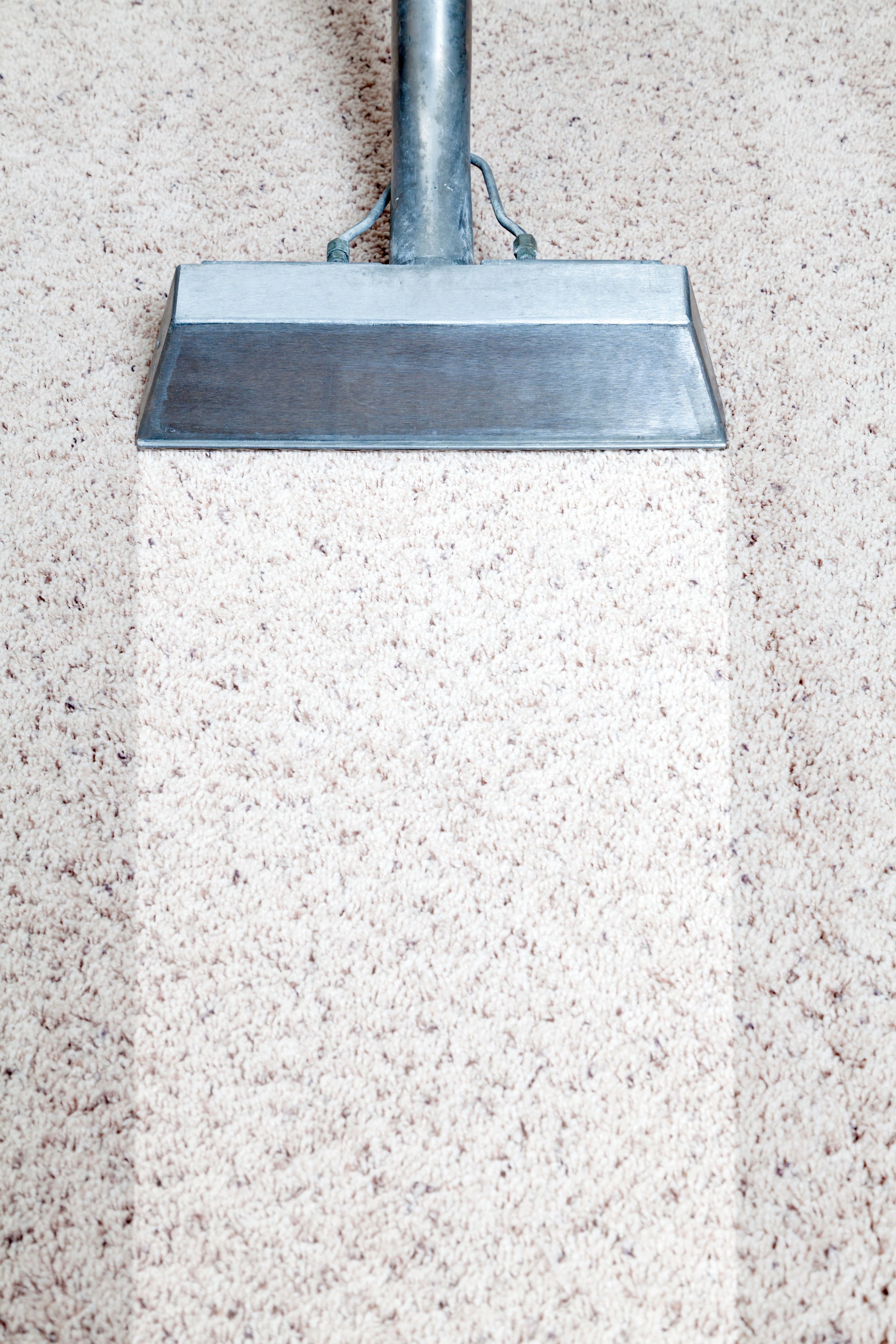 steam cleaning carpet