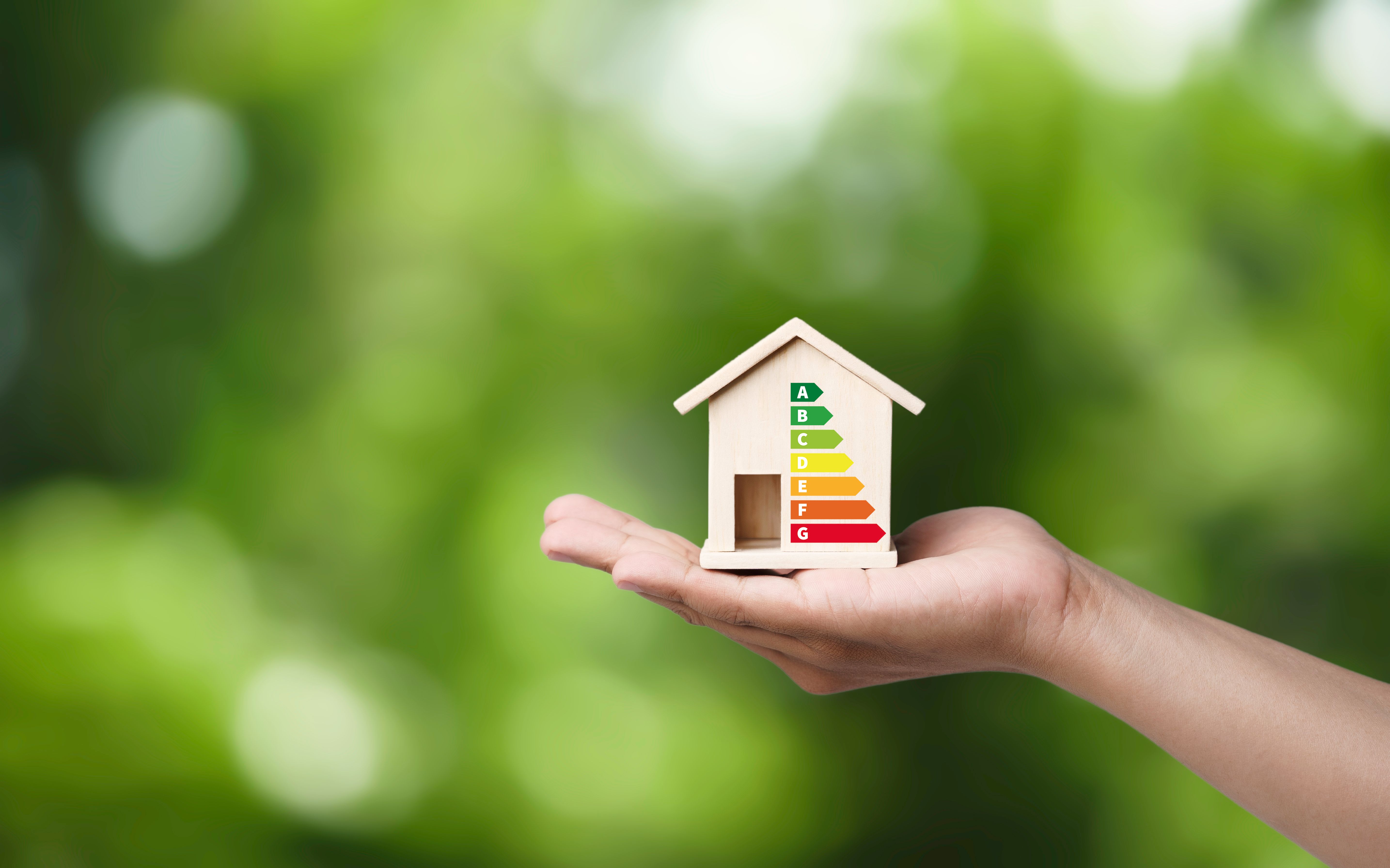 eco friendly house