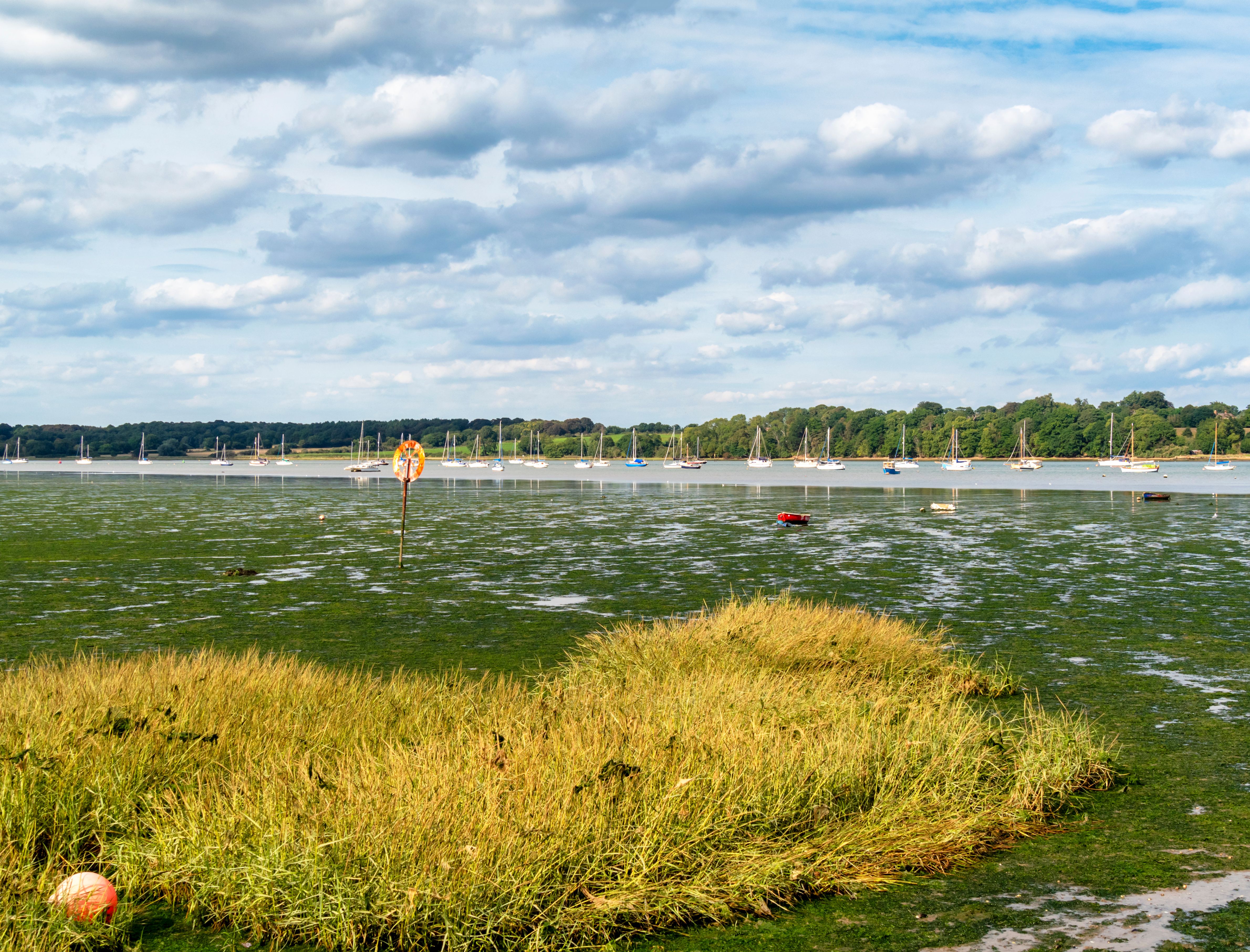 East Anglia landscape