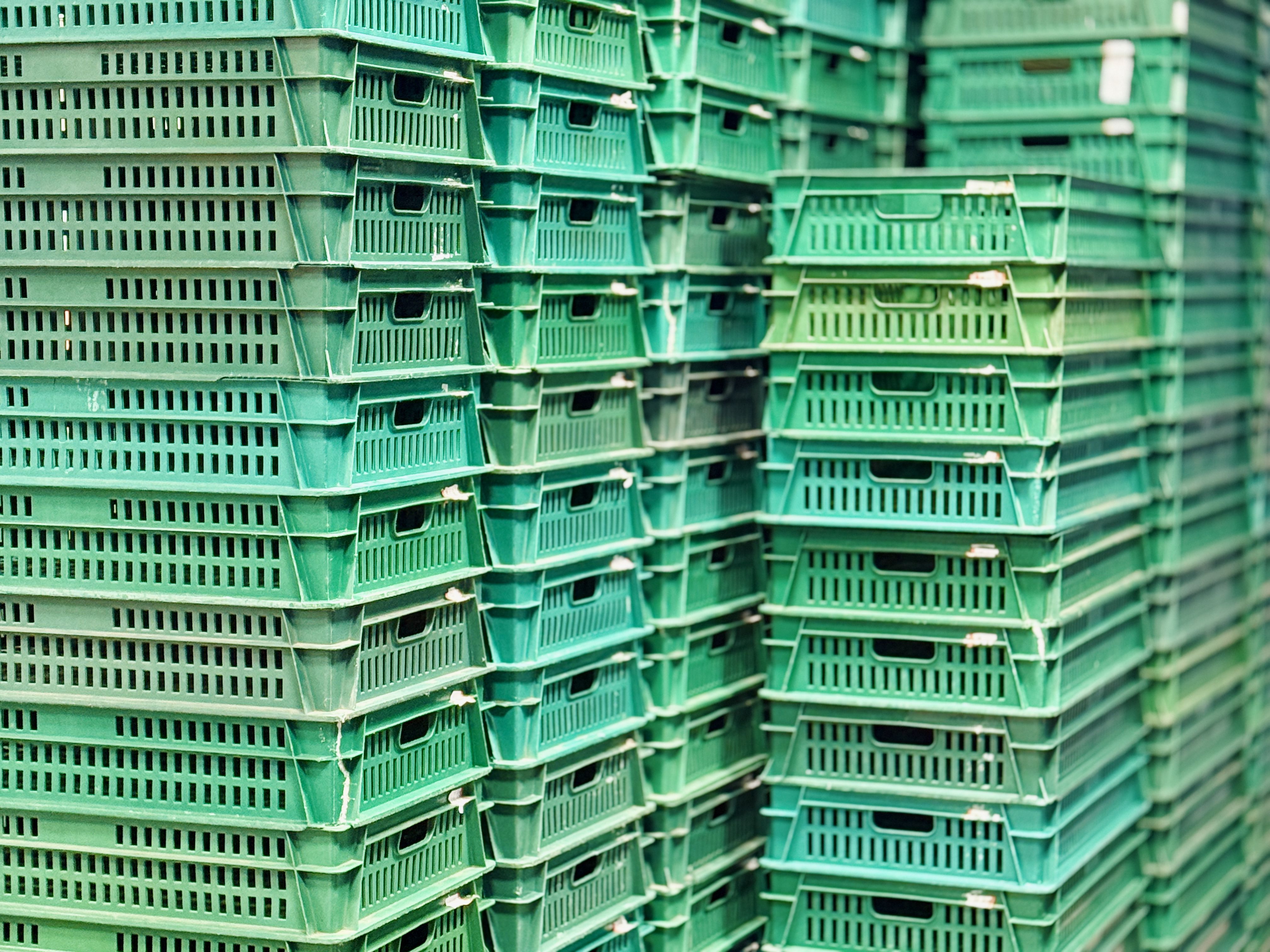 reusable produce containers