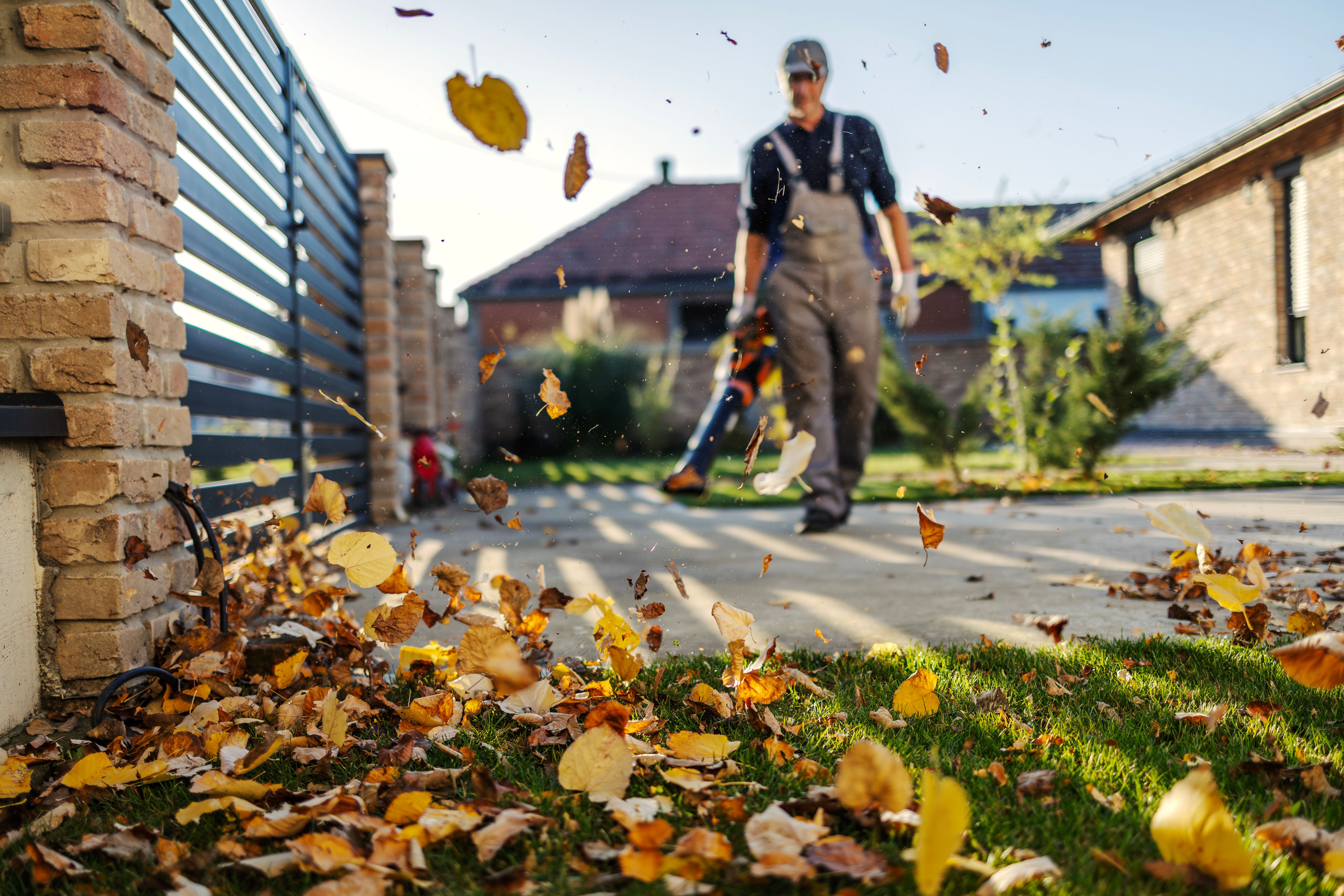 professional driveway service