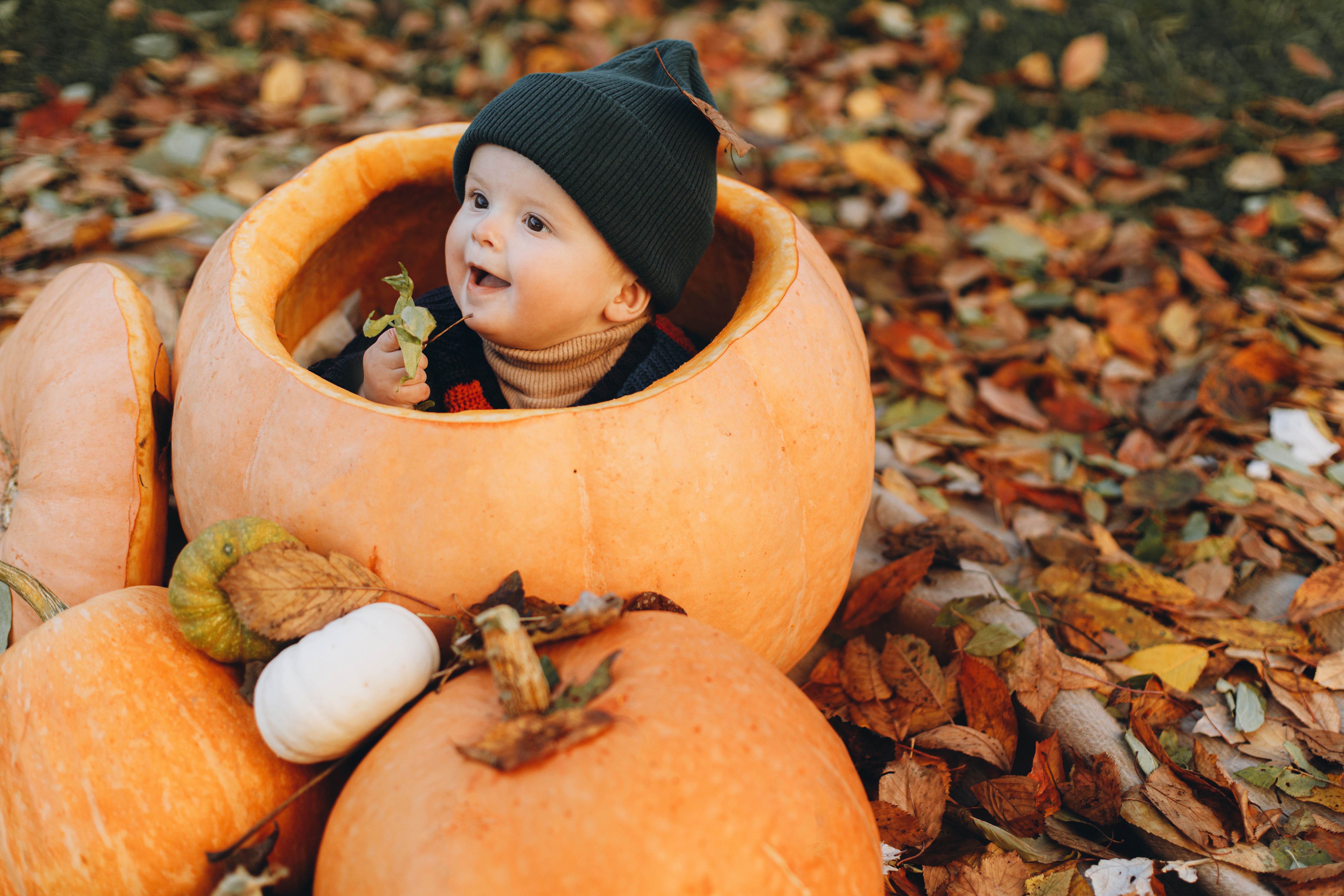 toddlers pumpkin patch