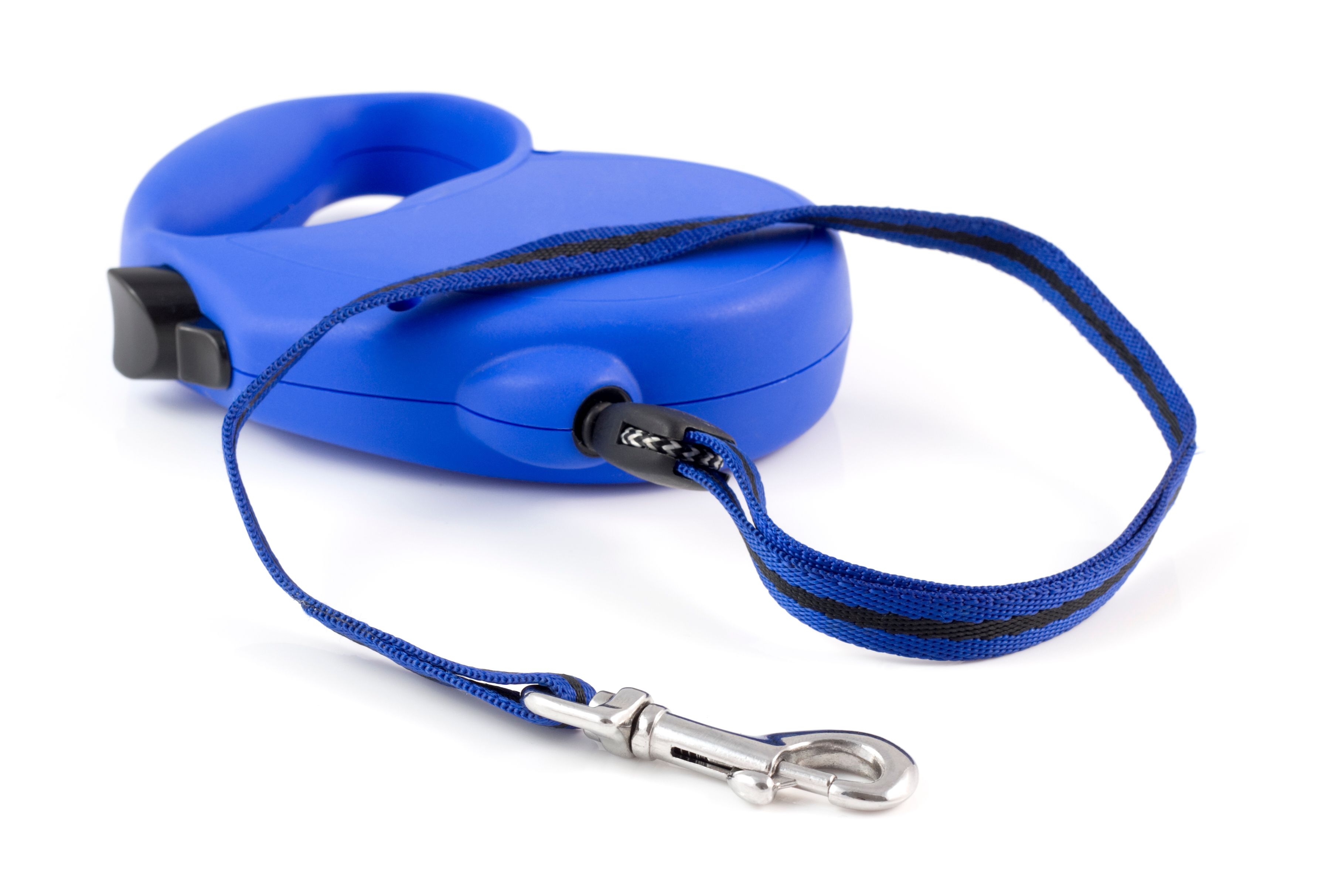 Illustration of Cautious Retractable Leashes For Pets With Vision Issues