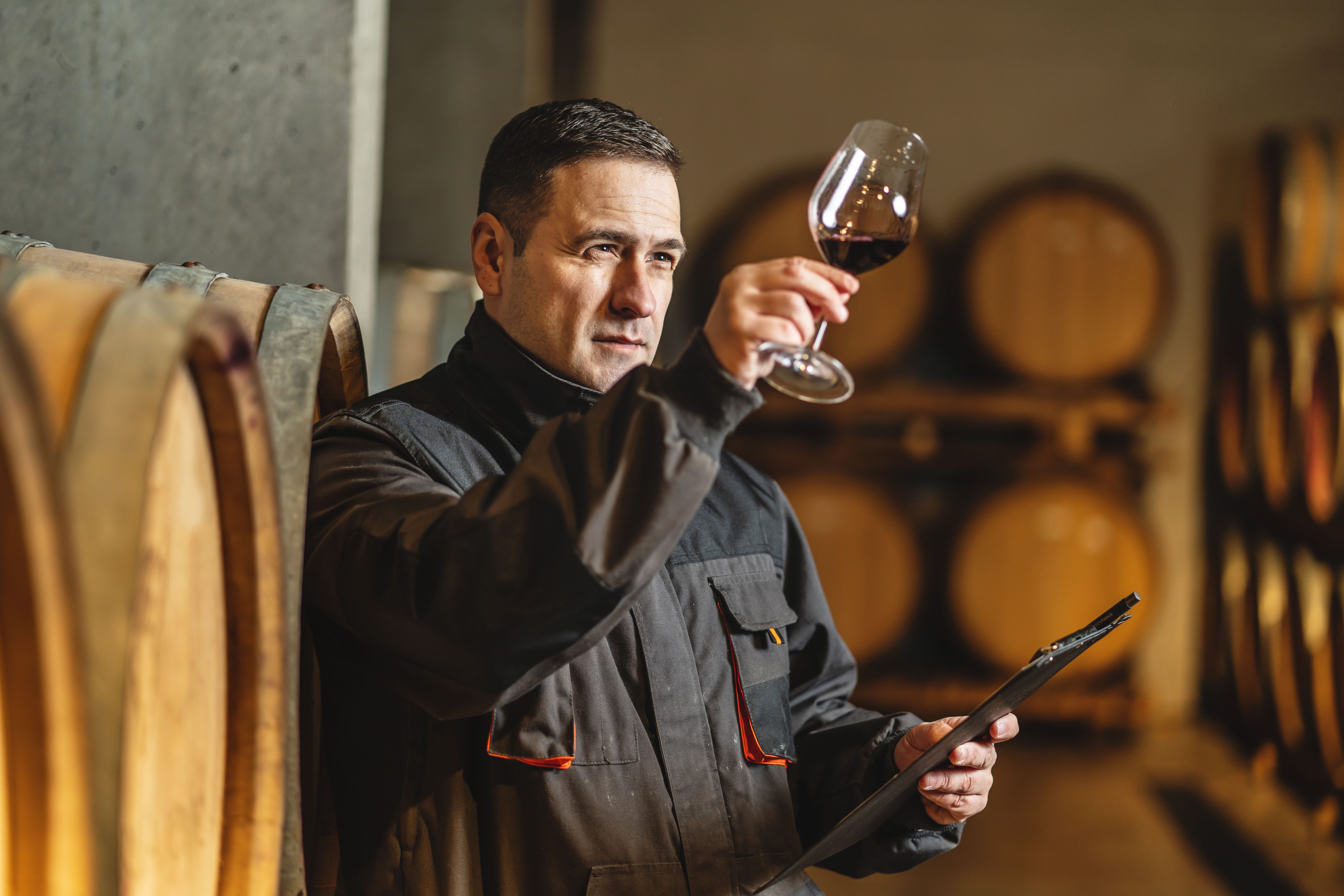 cellar inspection