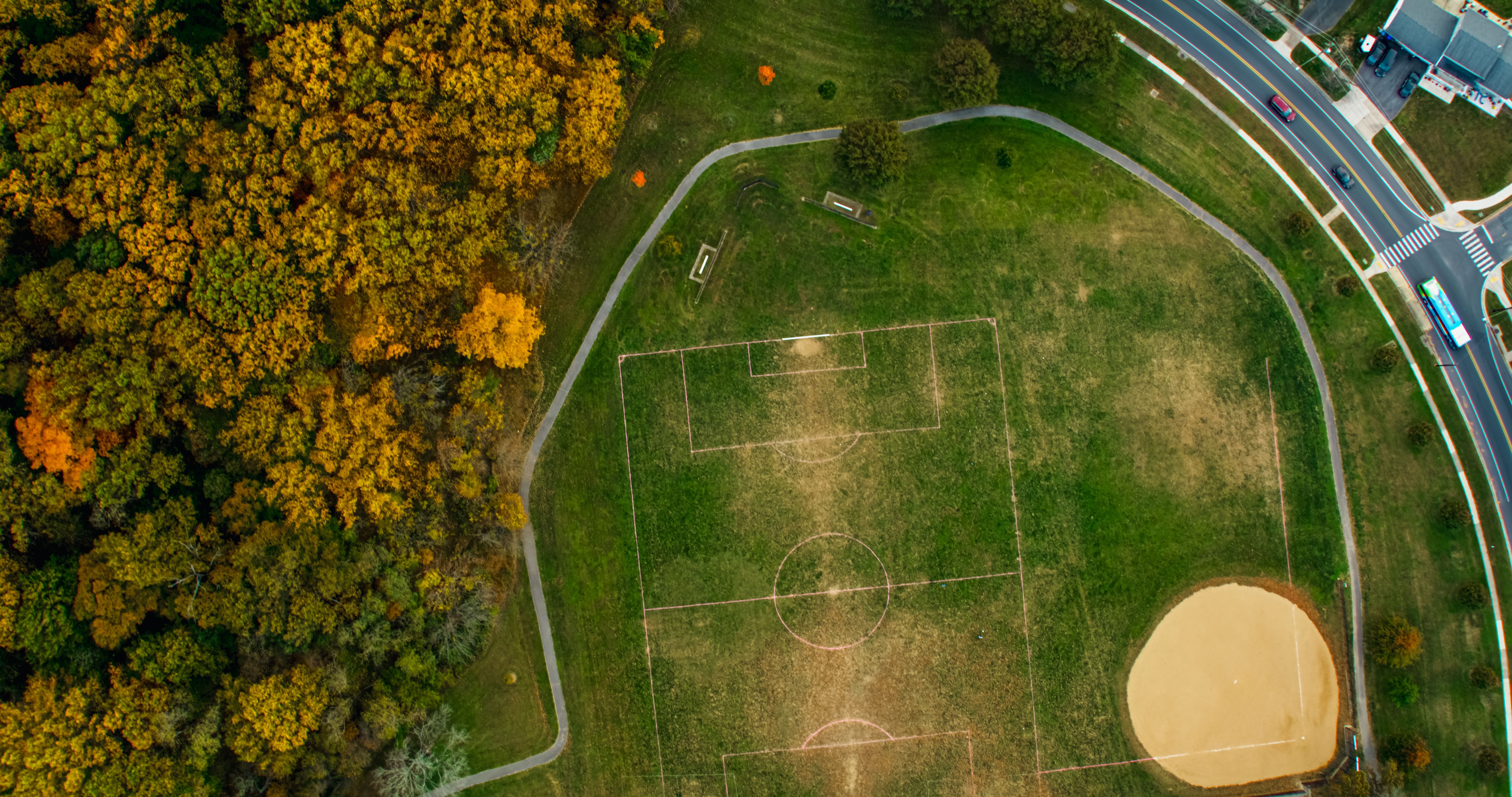 autumn leaves garden