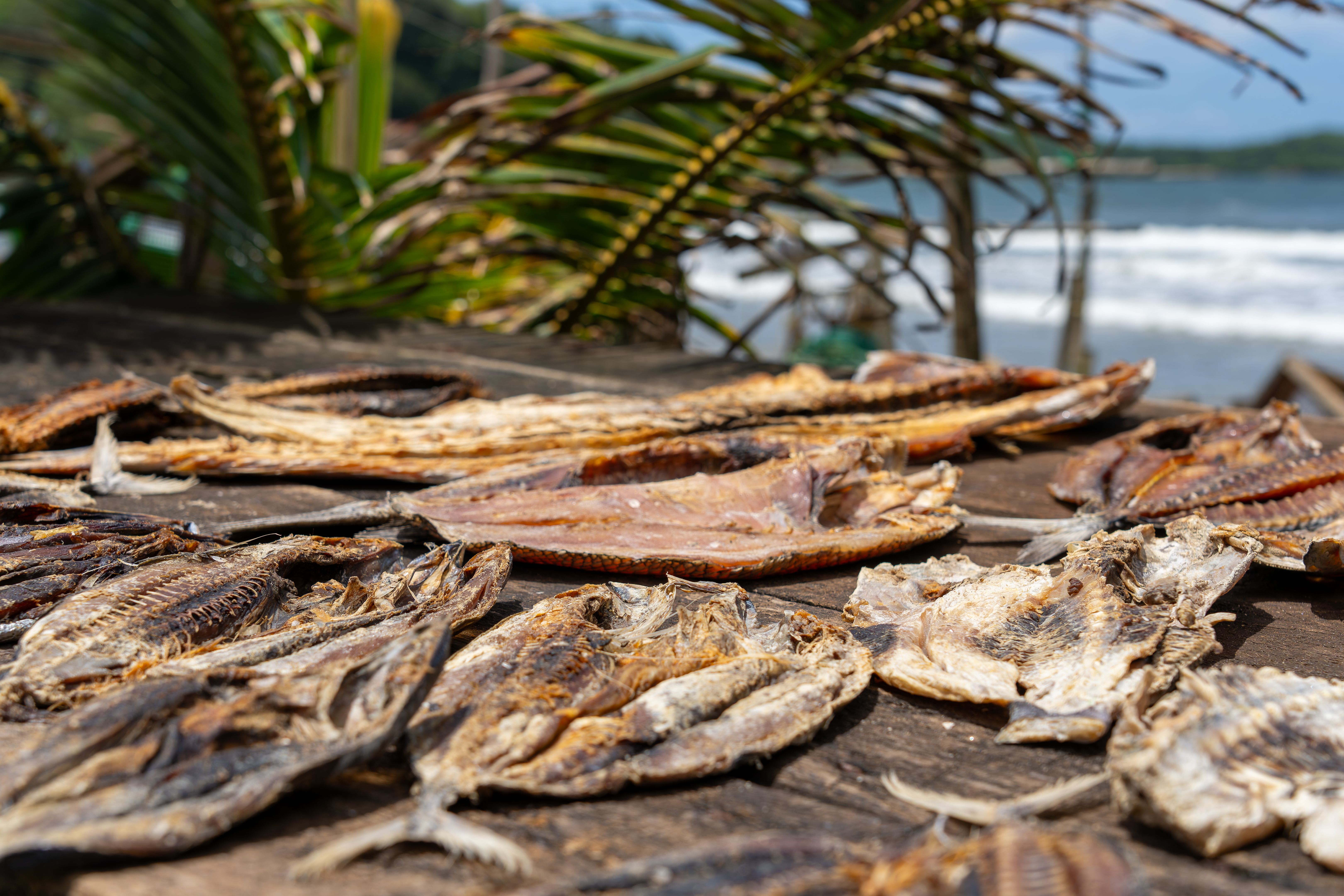 palm beach local business