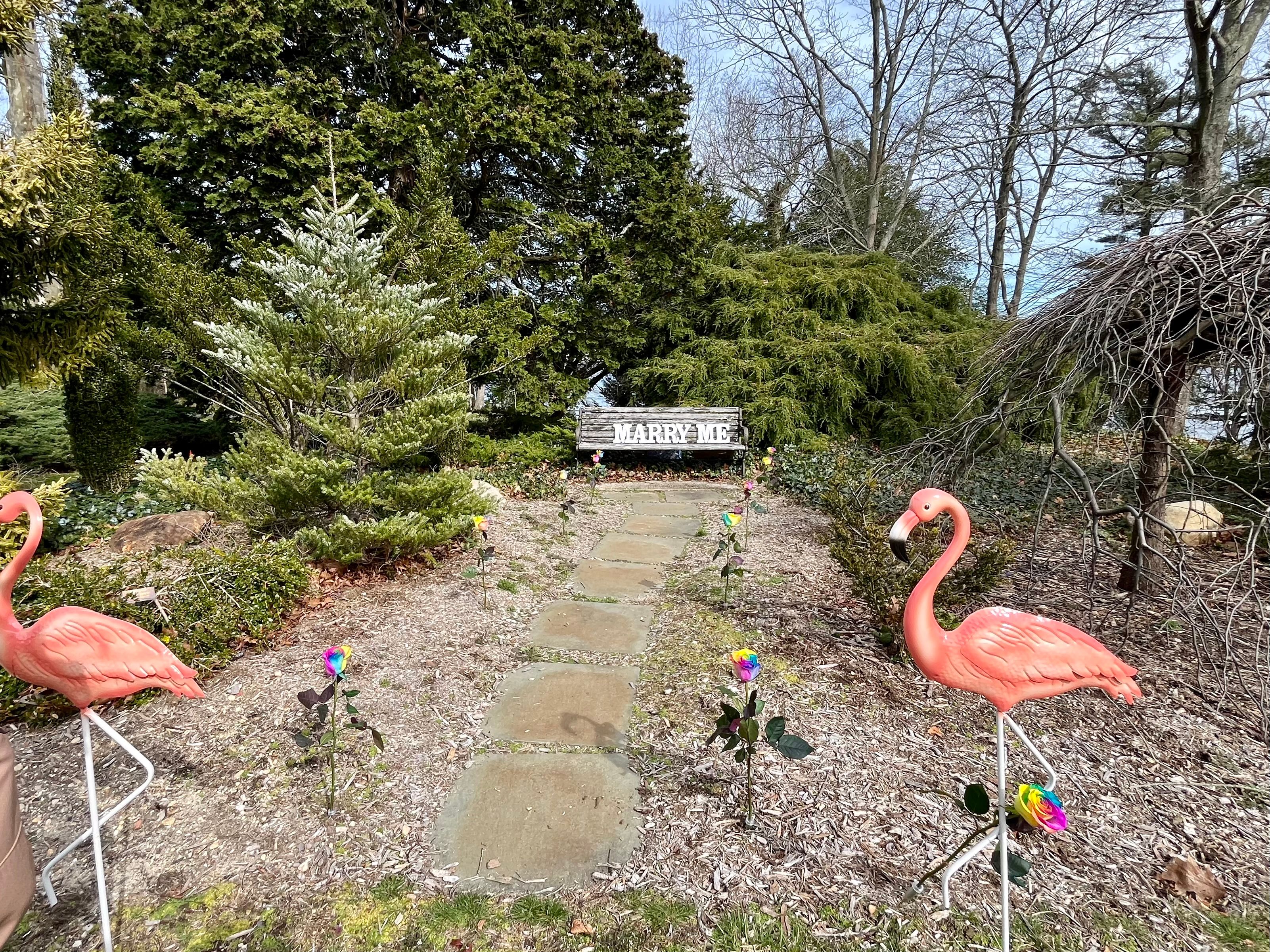 arboretum engagement