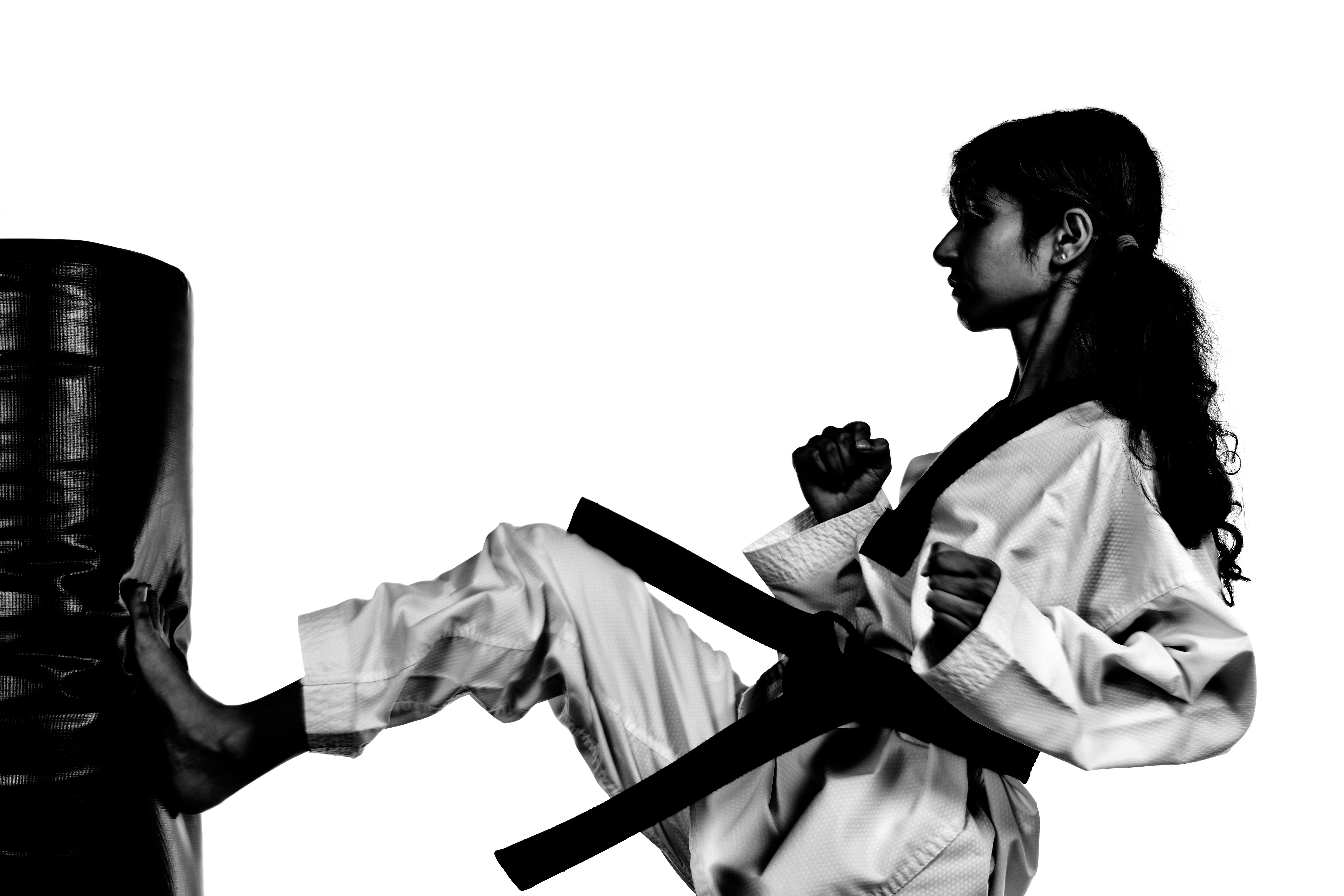 tiger rock martial arts